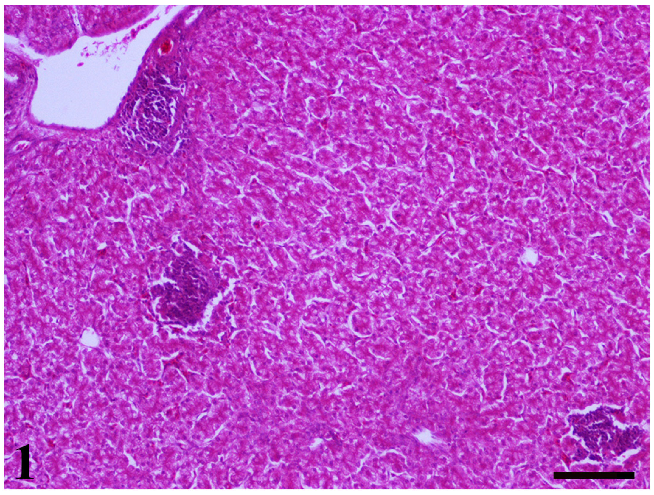 Toxins 13 00367 g001