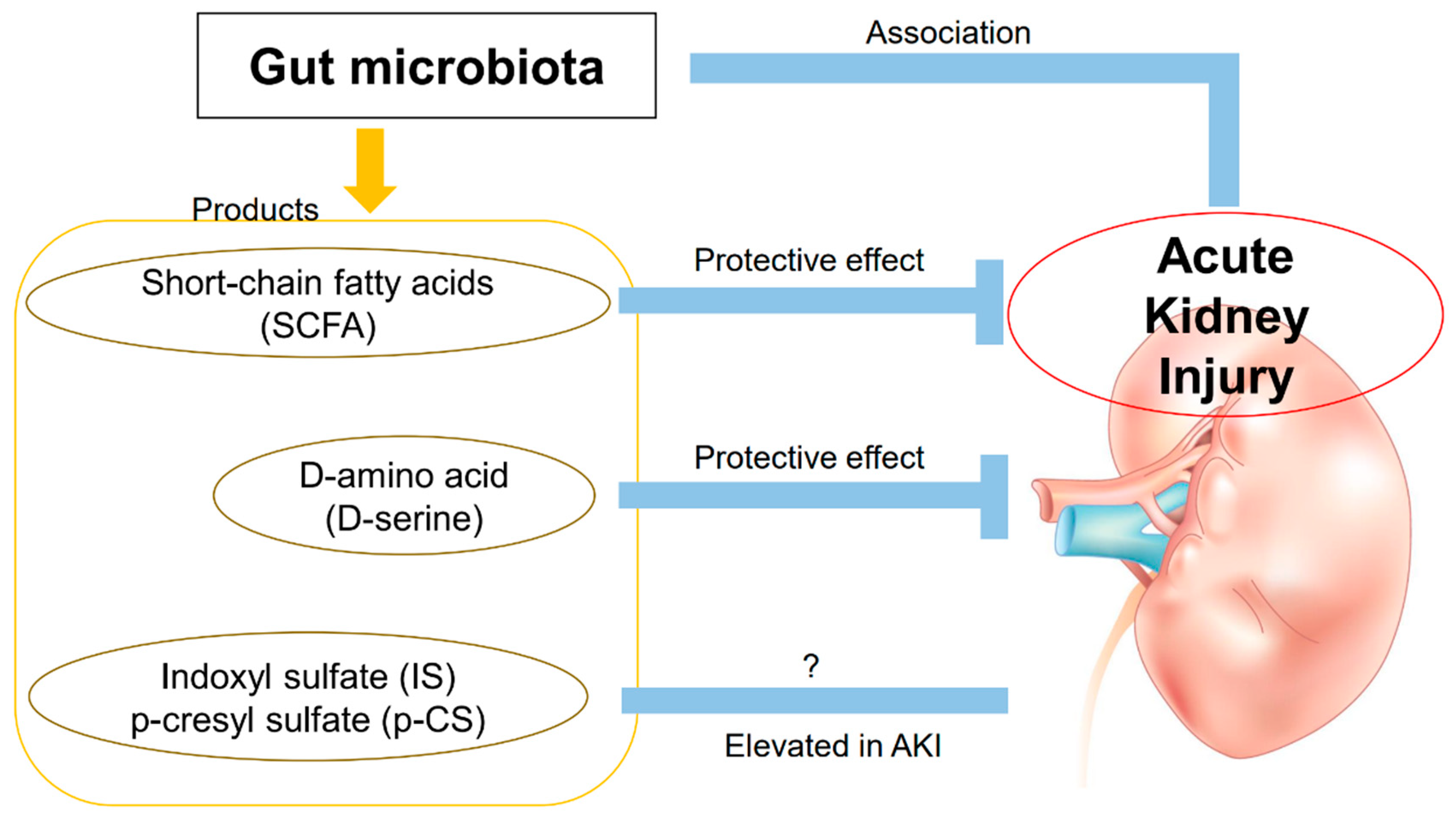 Toxins 13 00369 g001