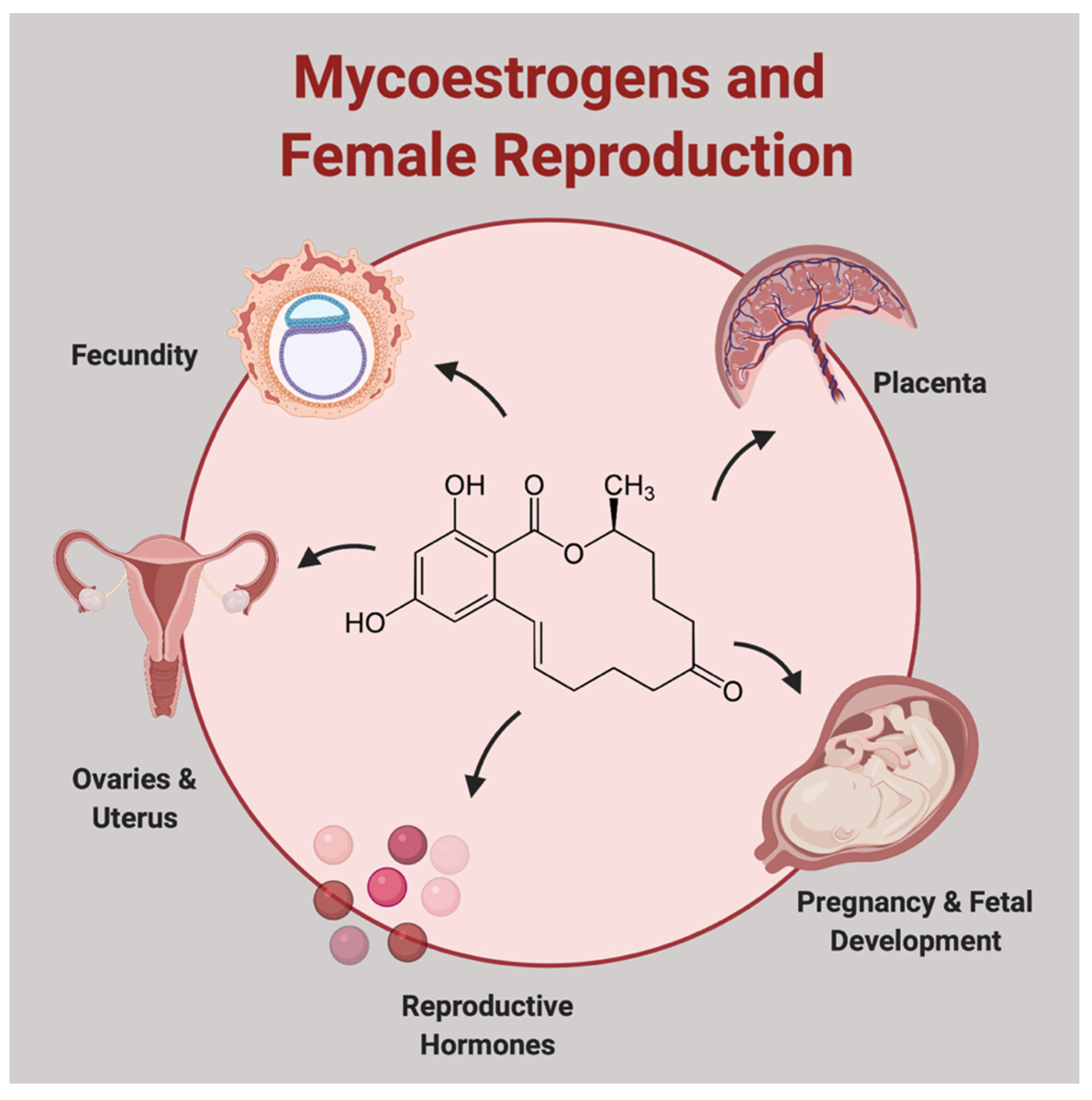 Toxins 13 00373 g001 Toxins 13 00373 g001