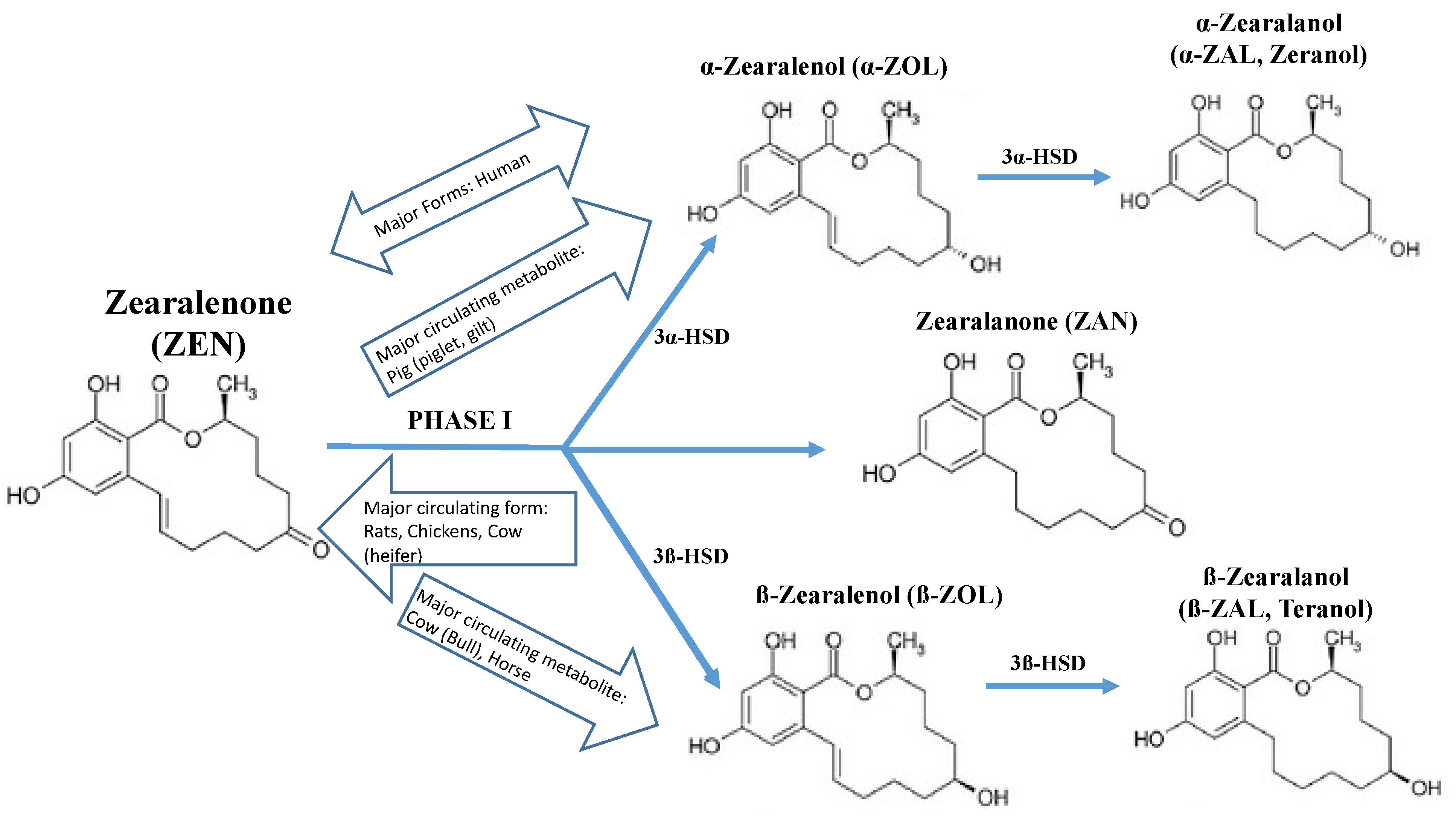 Toxins 13 00373 g002 Toxins 13 00373 g002