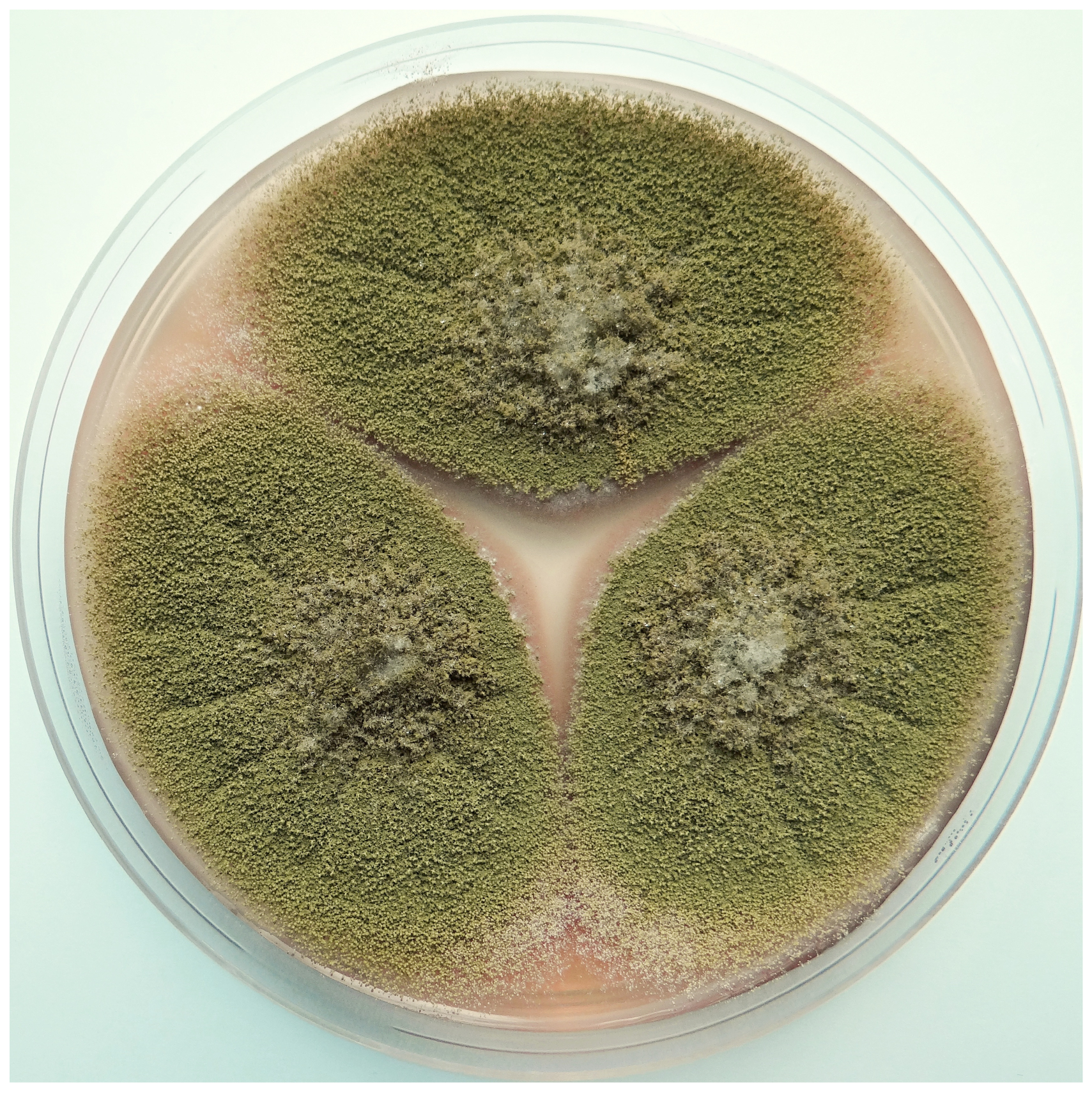 Toxins 13 00399 g002