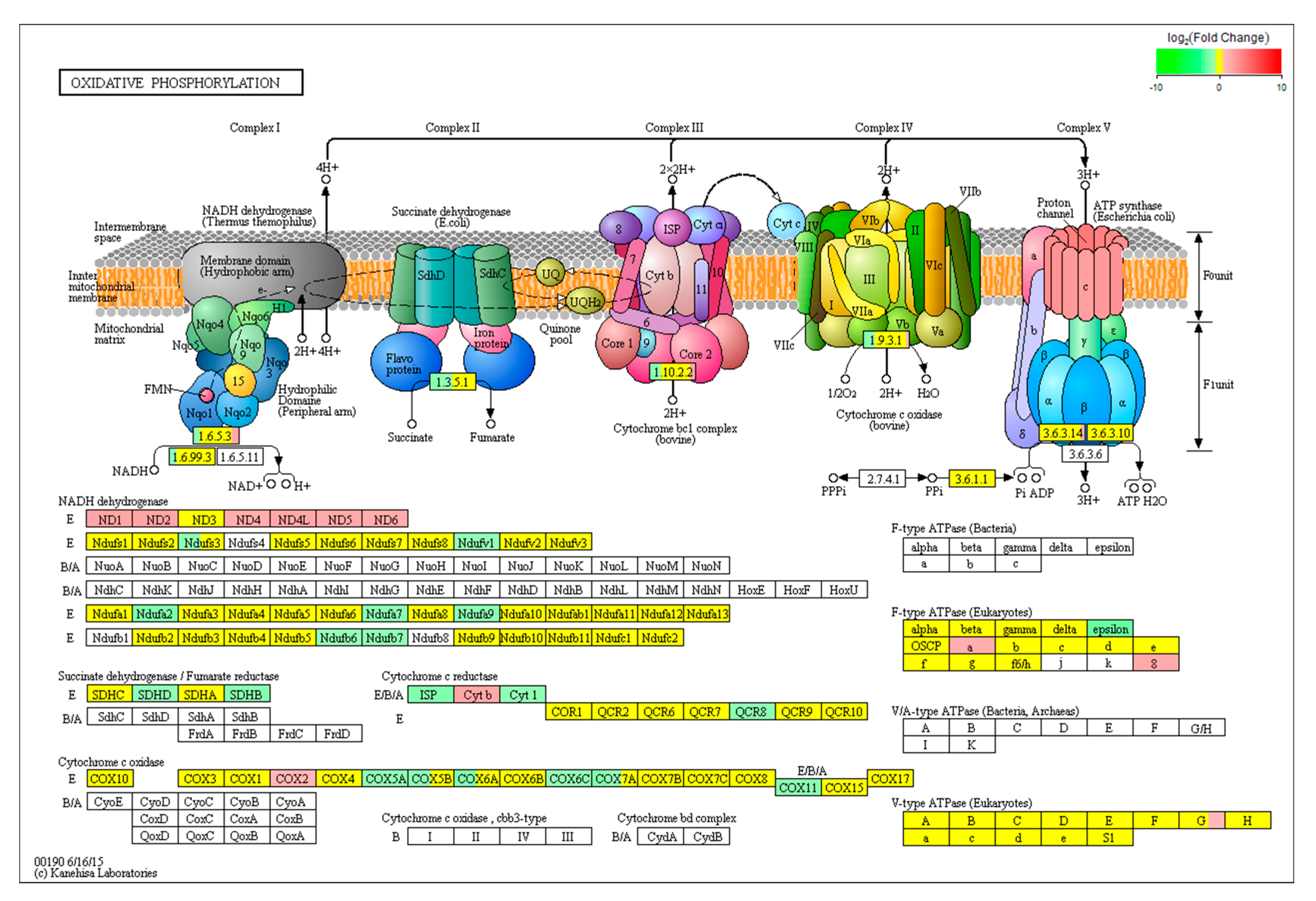 Toxins 13 00401 g006