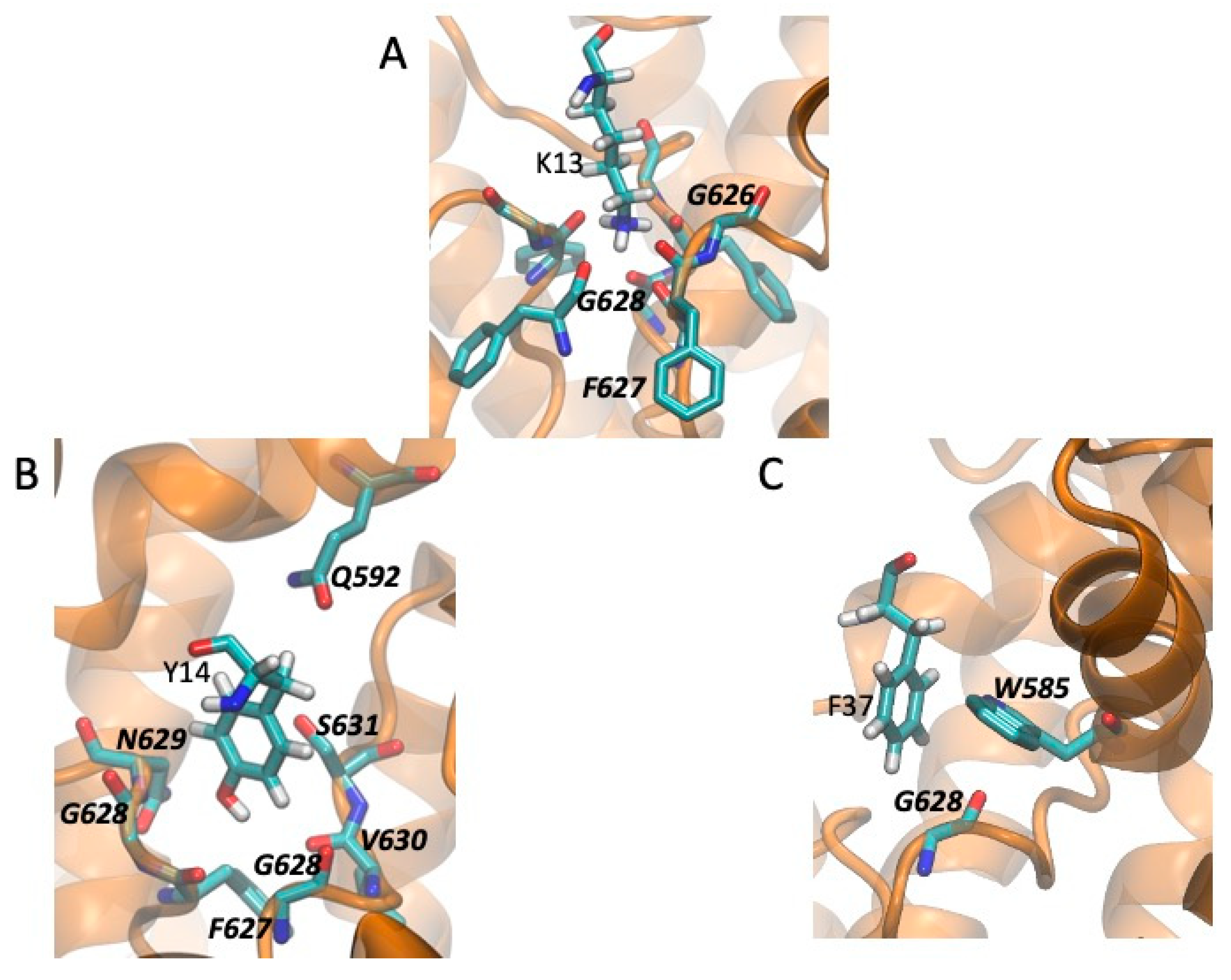 Toxins 13 00407 g006a Toxins 13 00407 g006a