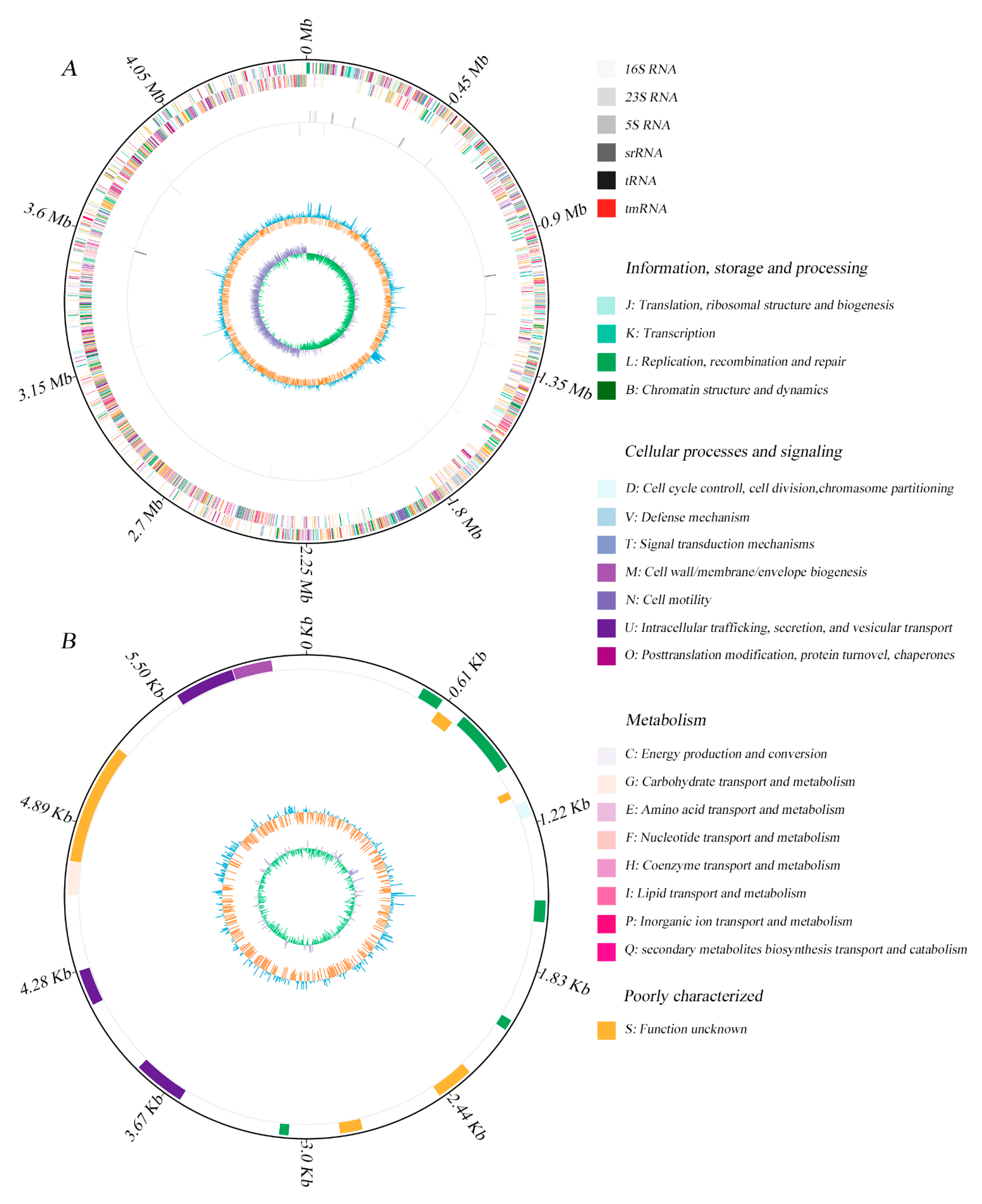 Toxins 13 00410 g001