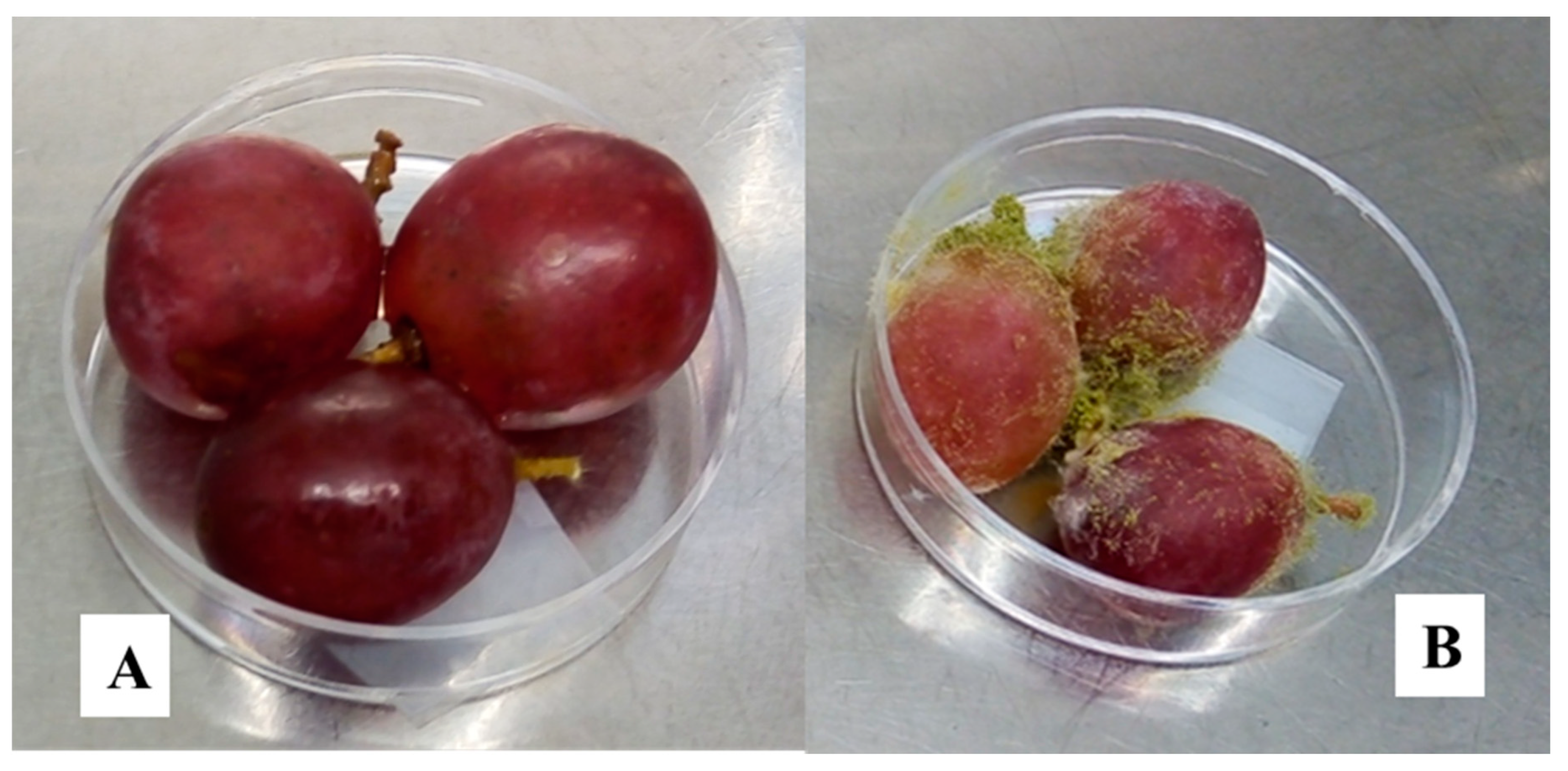 Toxins 13 00412 g002