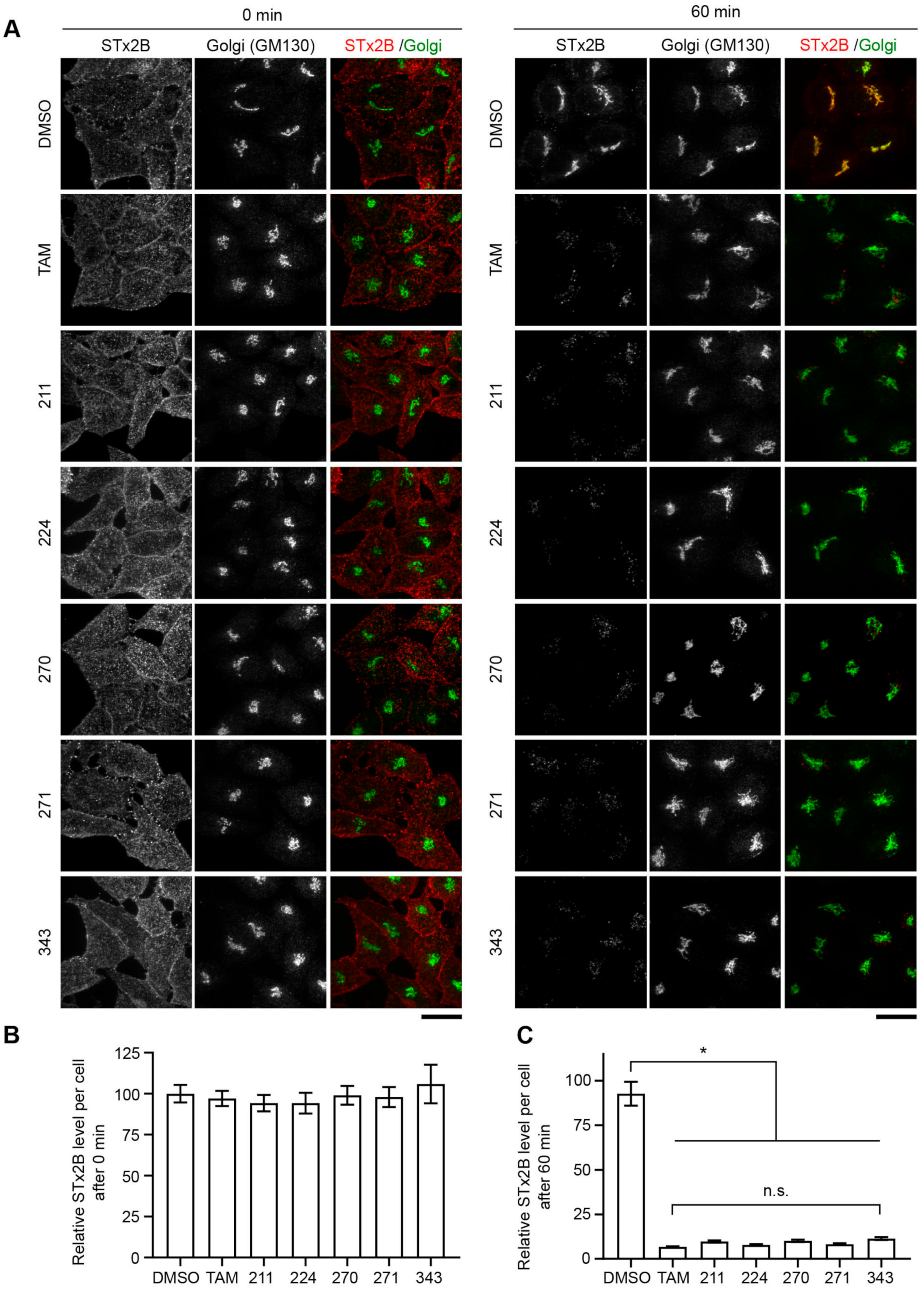 Toxins 13 00424 g006