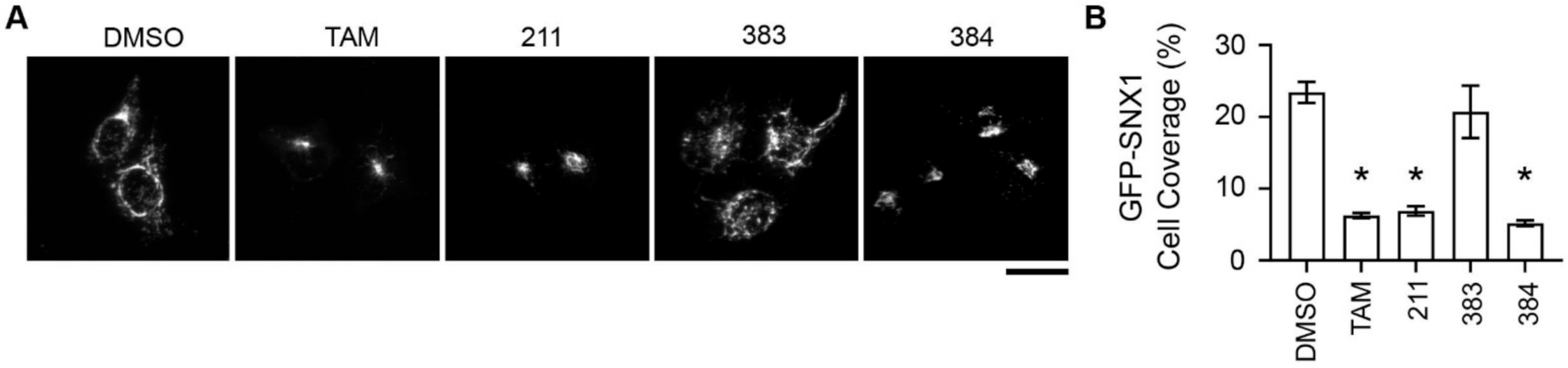 Toxins 13 00424 g008