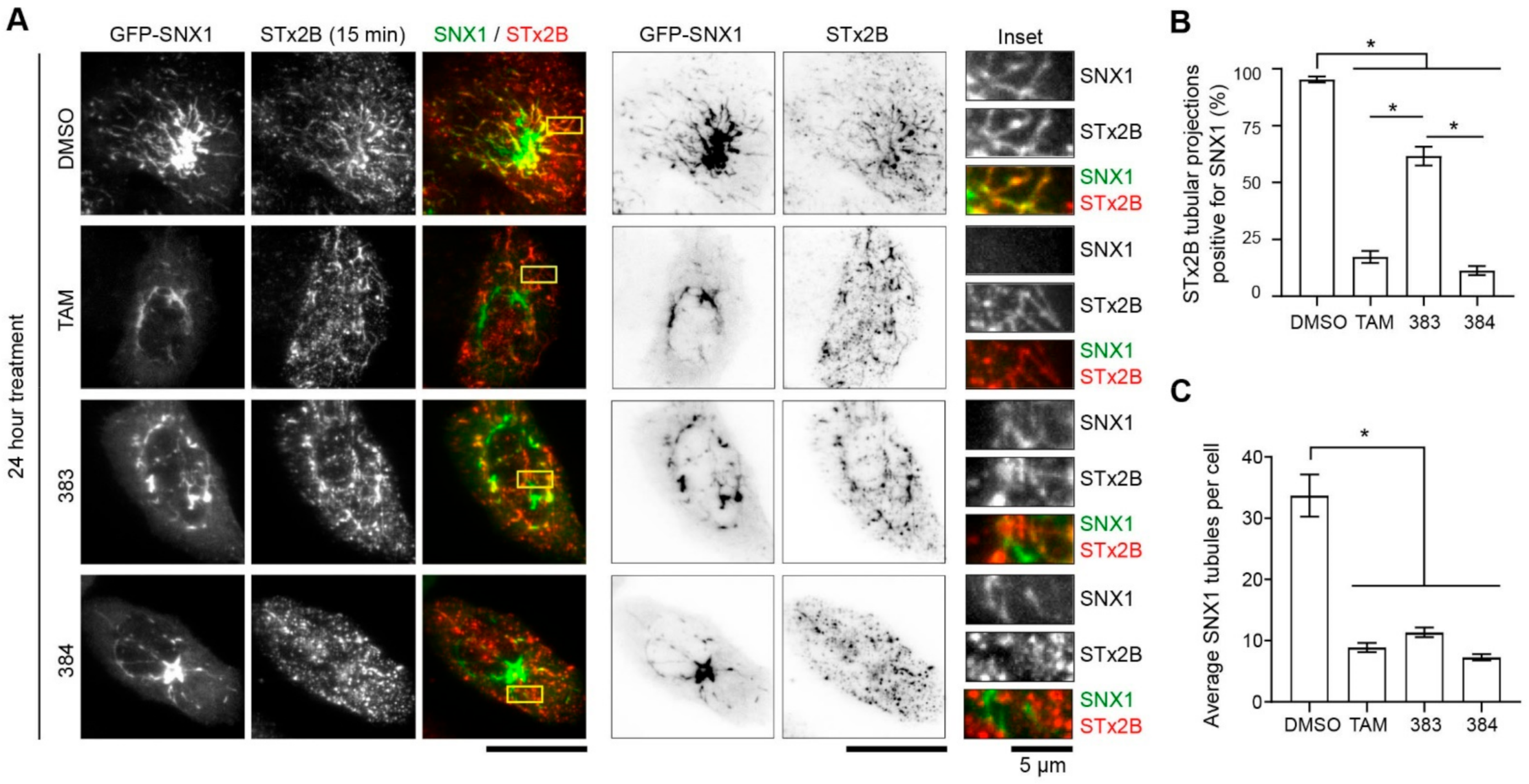 Toxins 13 00424 g009