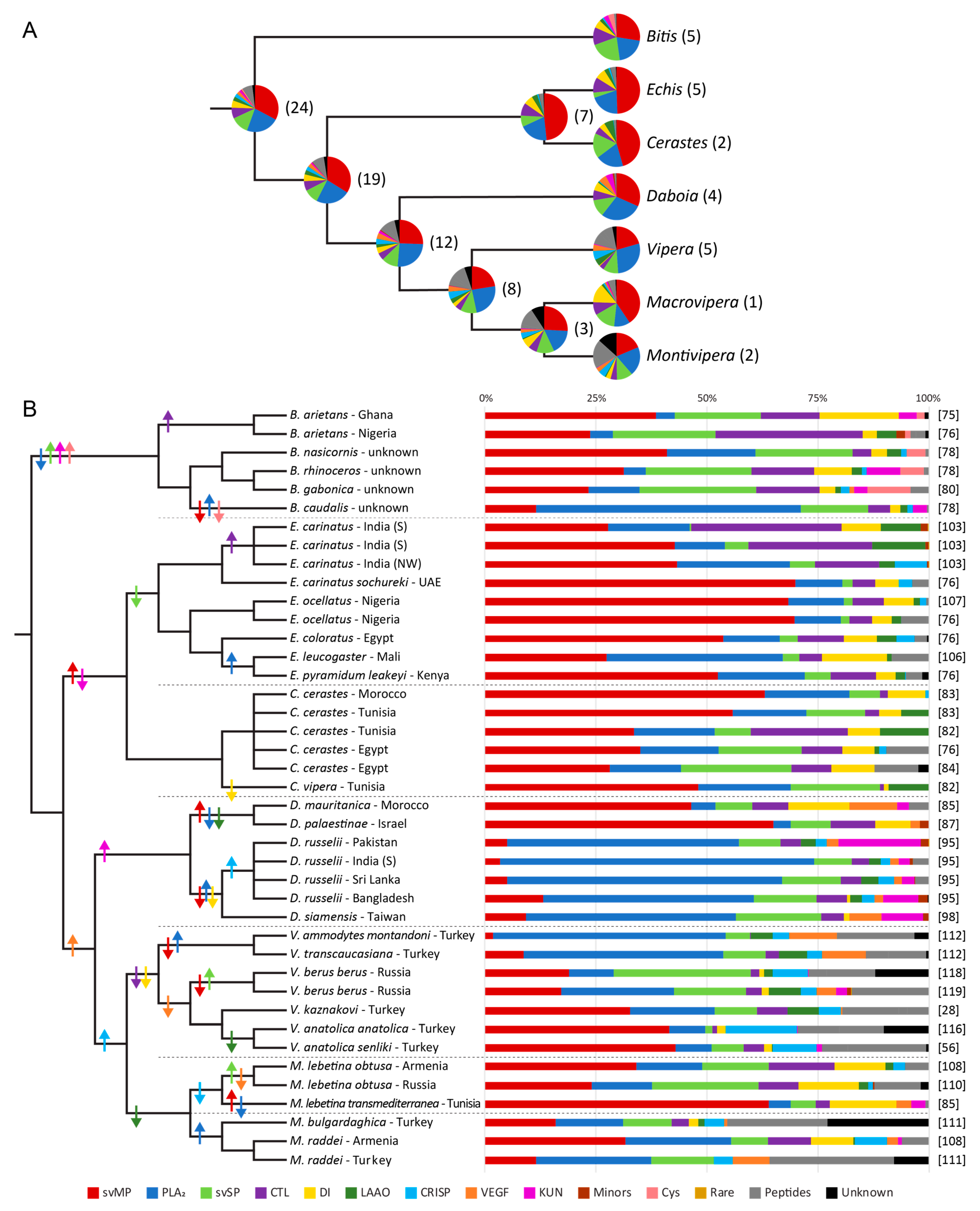 Toxins 13 00427 g002