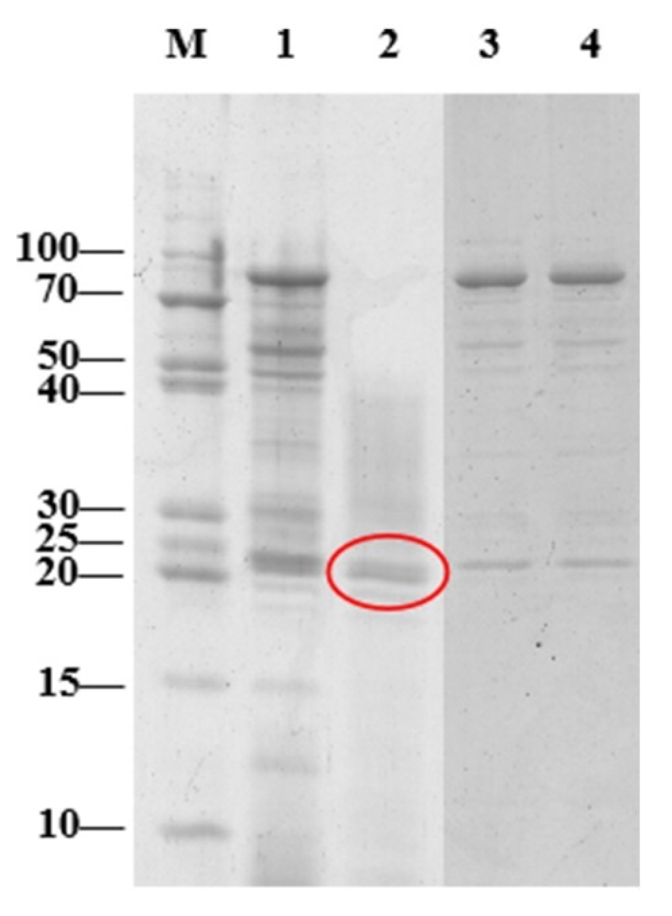 Toxins 13 00435 g007