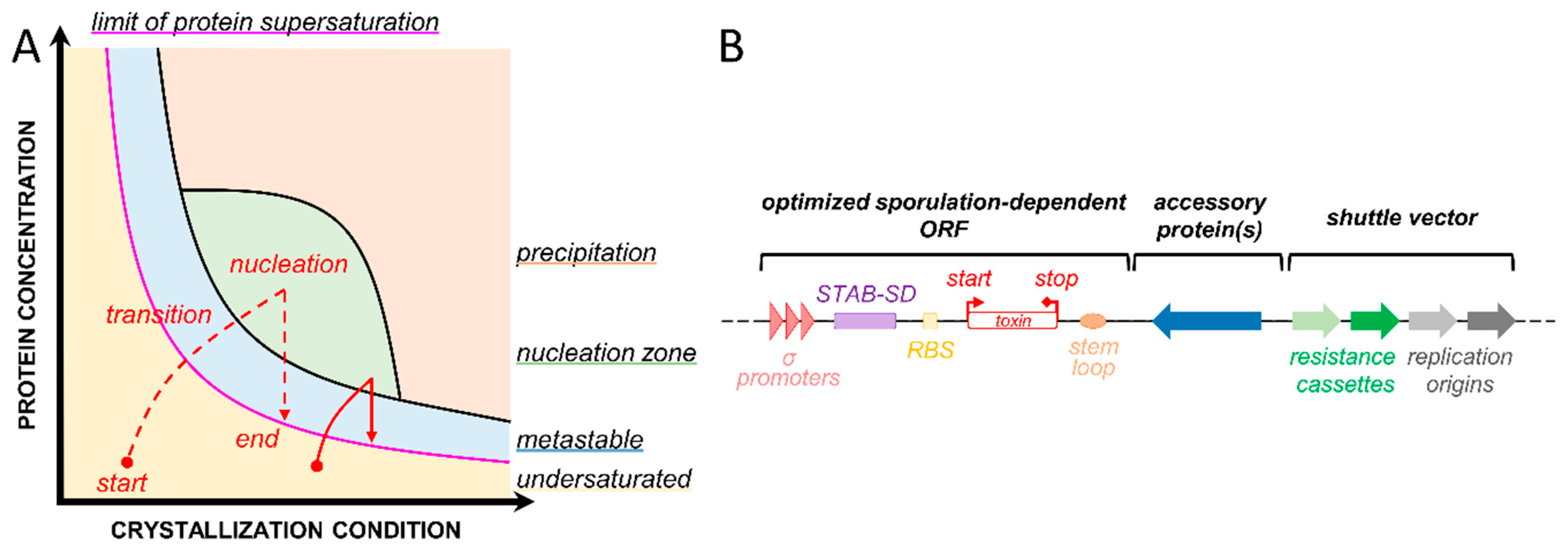 Toxins 13 00441 g001