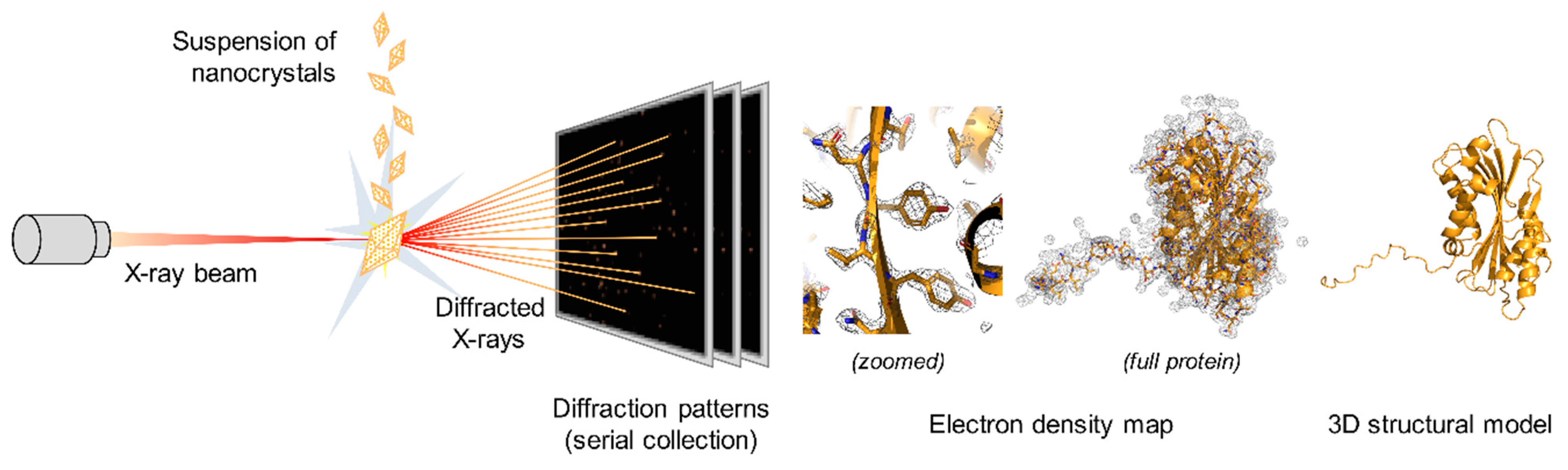 Toxins 13 00441 g004