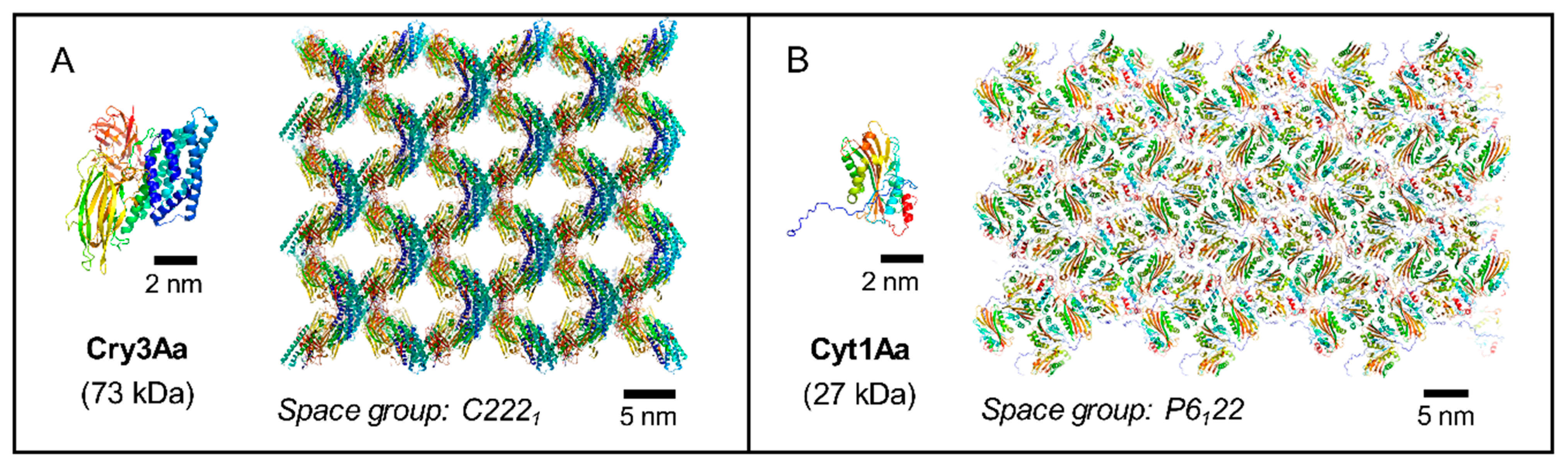 Toxins 13 00443 g003