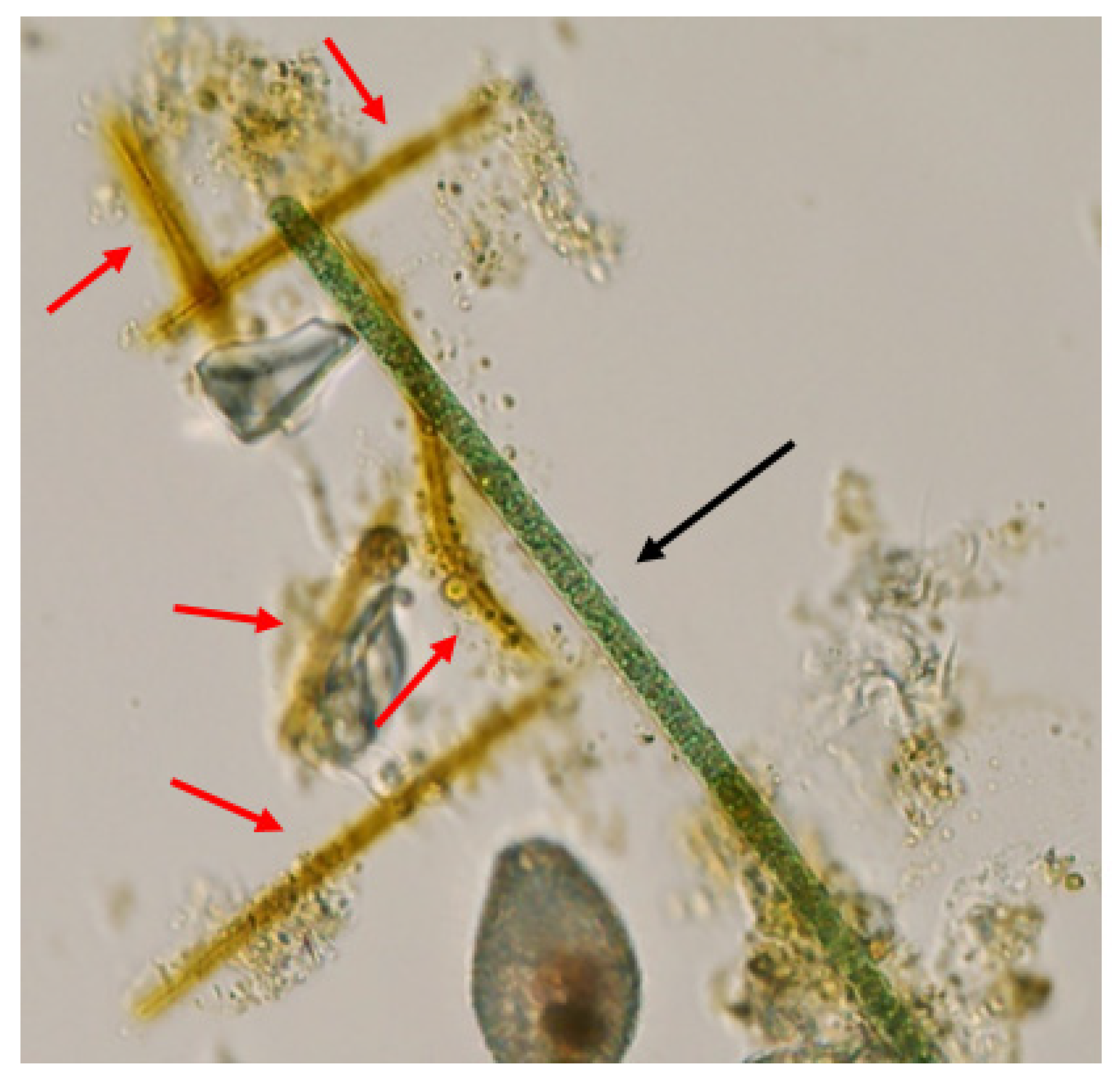 Toxins 13 00445 g0a2