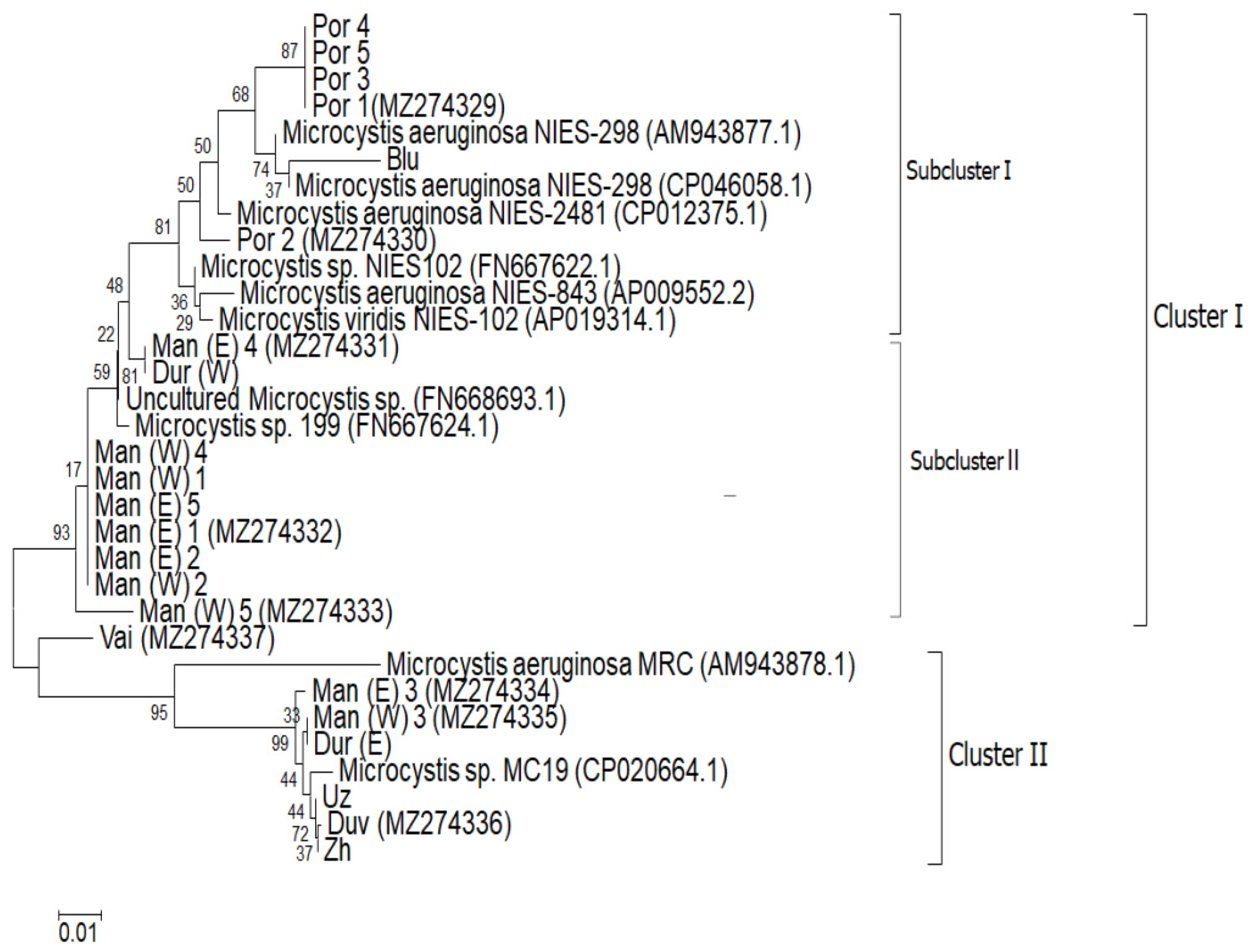 Toxins 13 00448 g005 Toxins 13 00448 g005