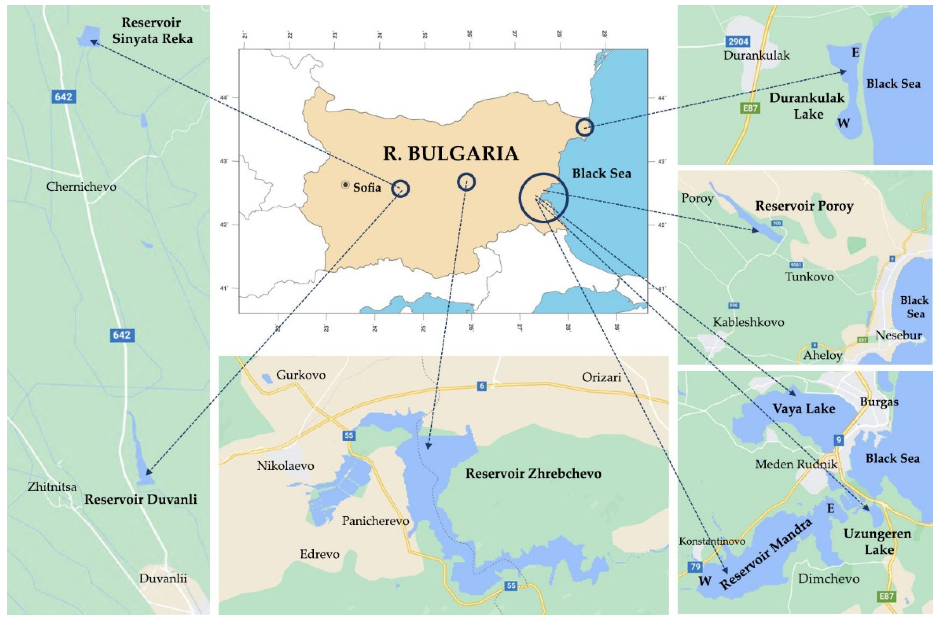 Toxins 13 00448 g007 Toxins 13 00448 g007