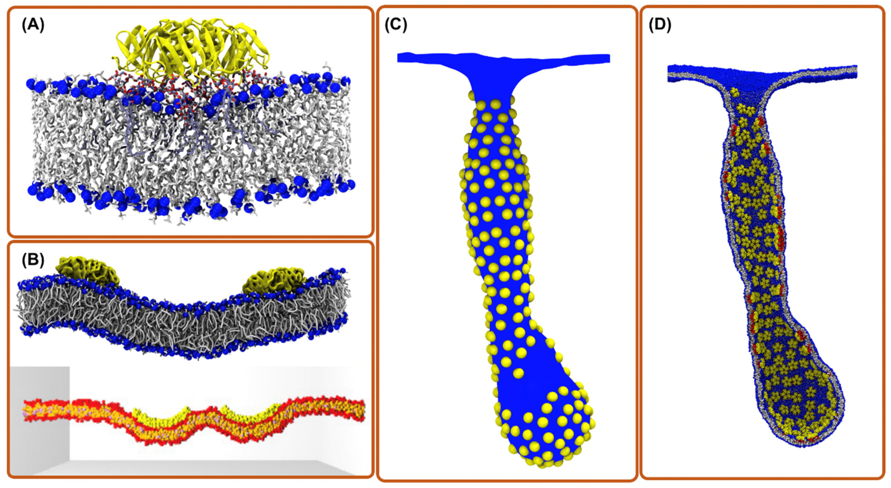 Toxins 13 00449 g001