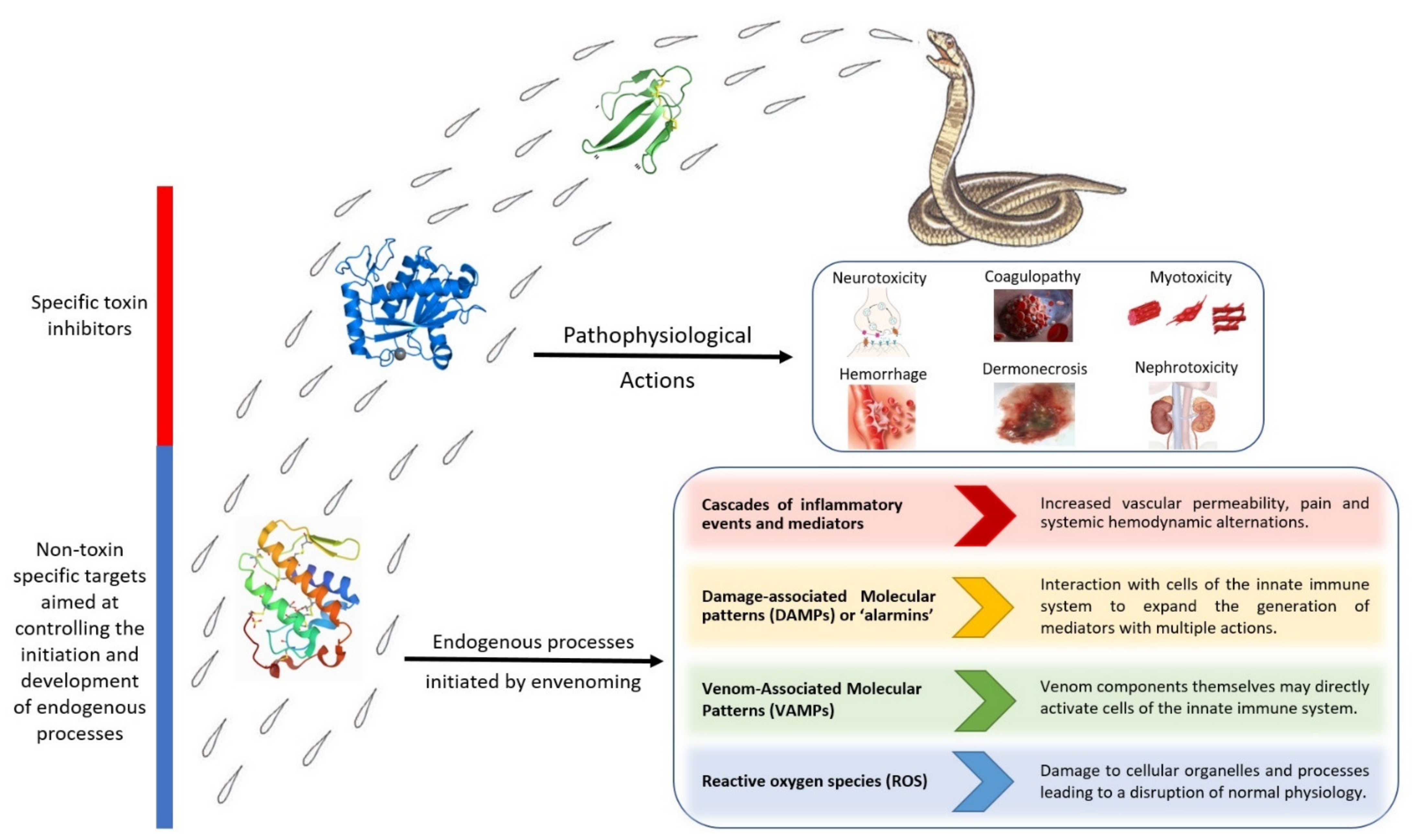 Toxins 13 00451 g002