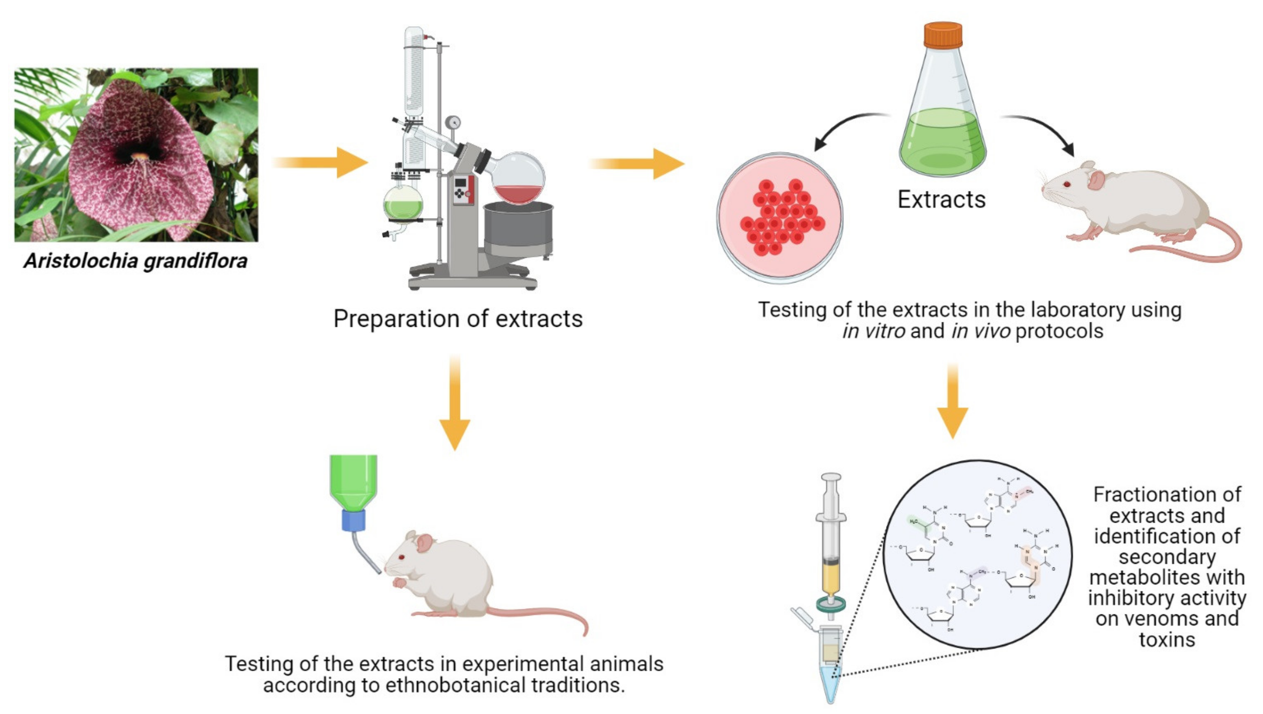 Toxins 13 00451 g003