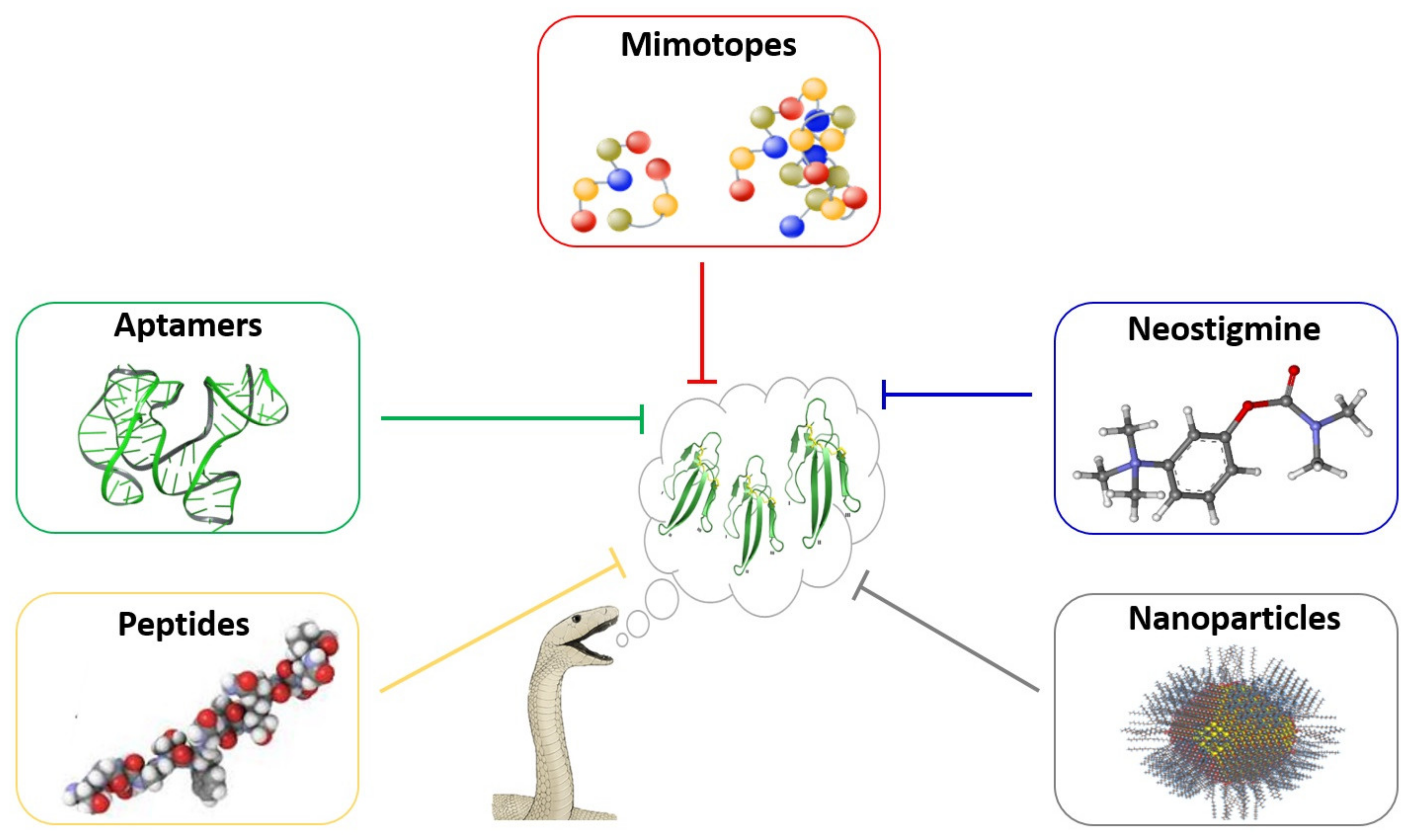 Toxins 13 00451 g005