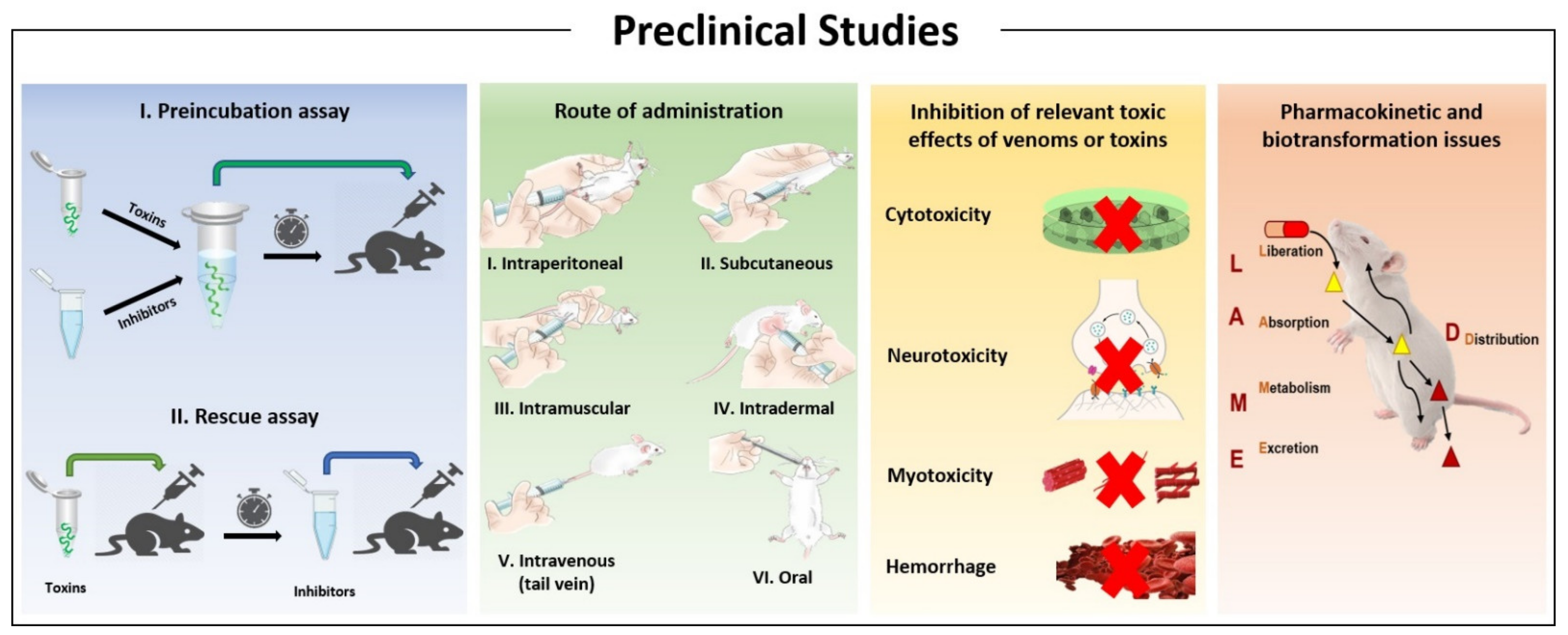 Toxins 13 00451 g007
