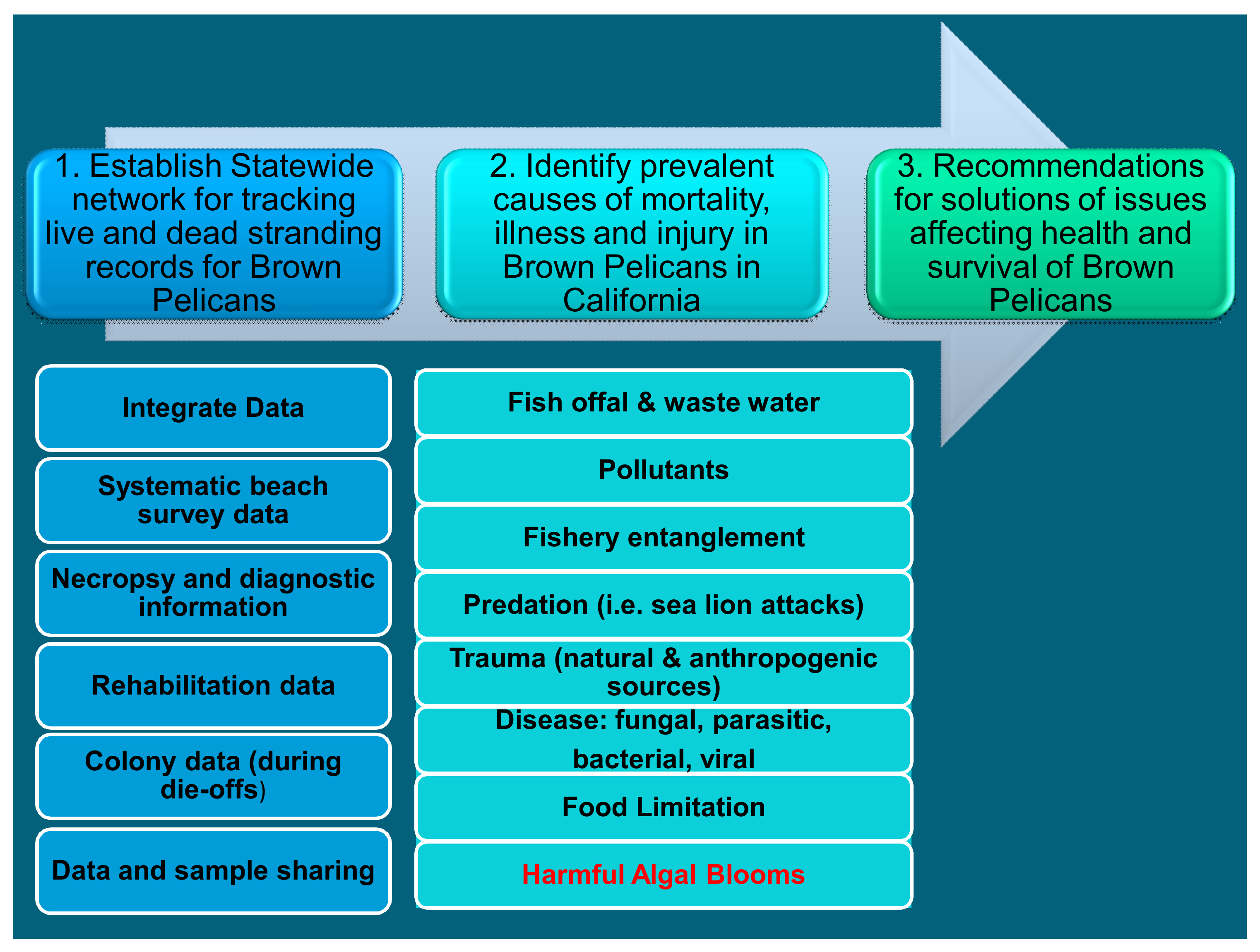 Toxins 13 00454 g003