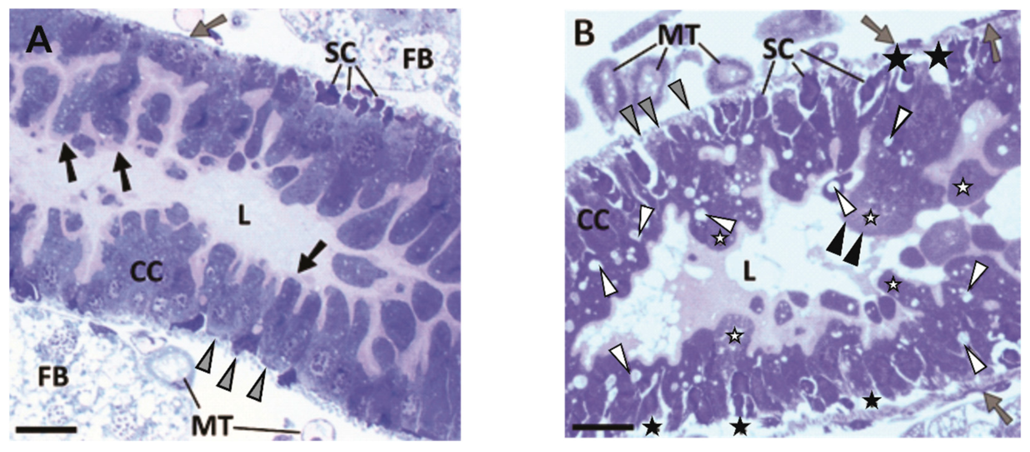 Toxins 13 00455 g002
