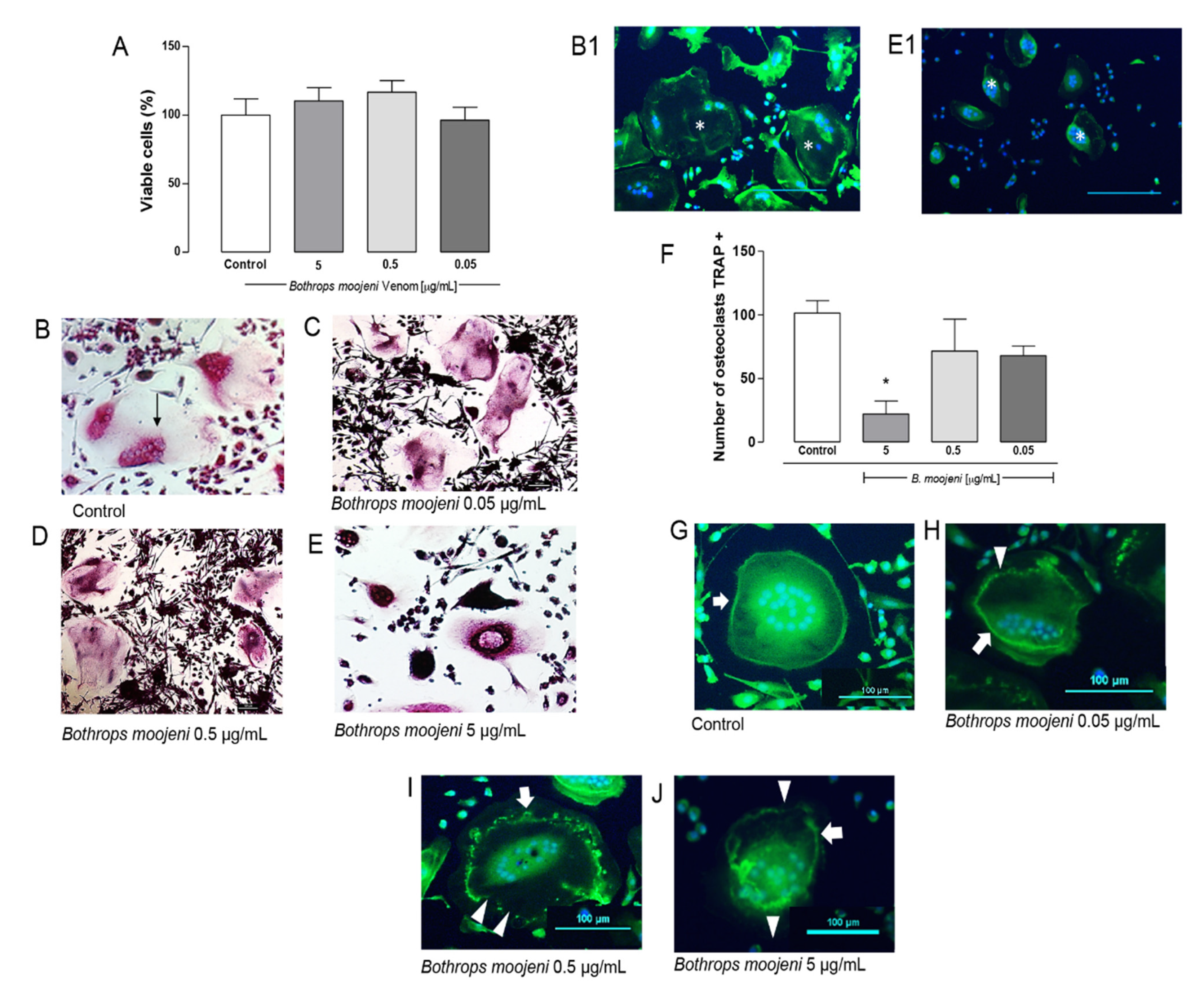 Toxins 13 00459 g001 Toxins 13 00459 g001