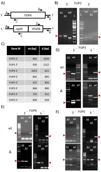 Toxins 13 00468 g001 550