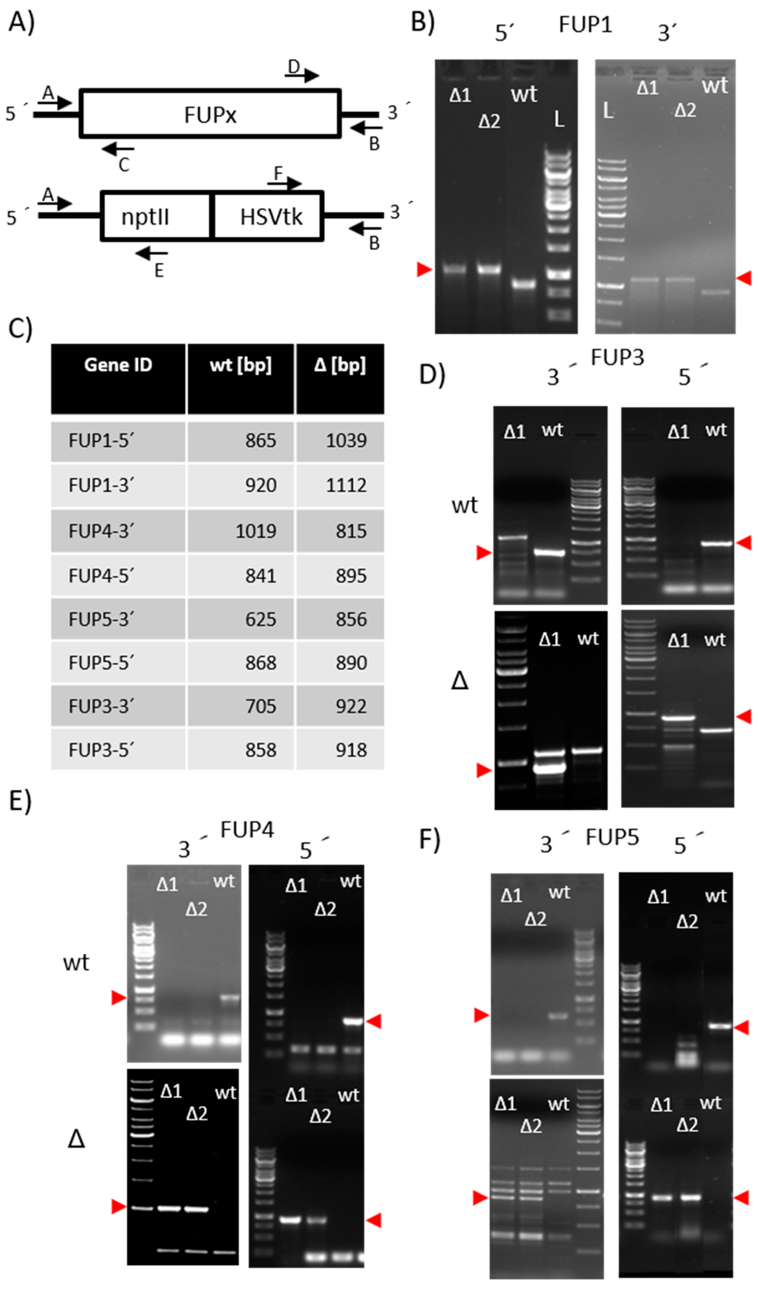 Toxins 13 00468 g001