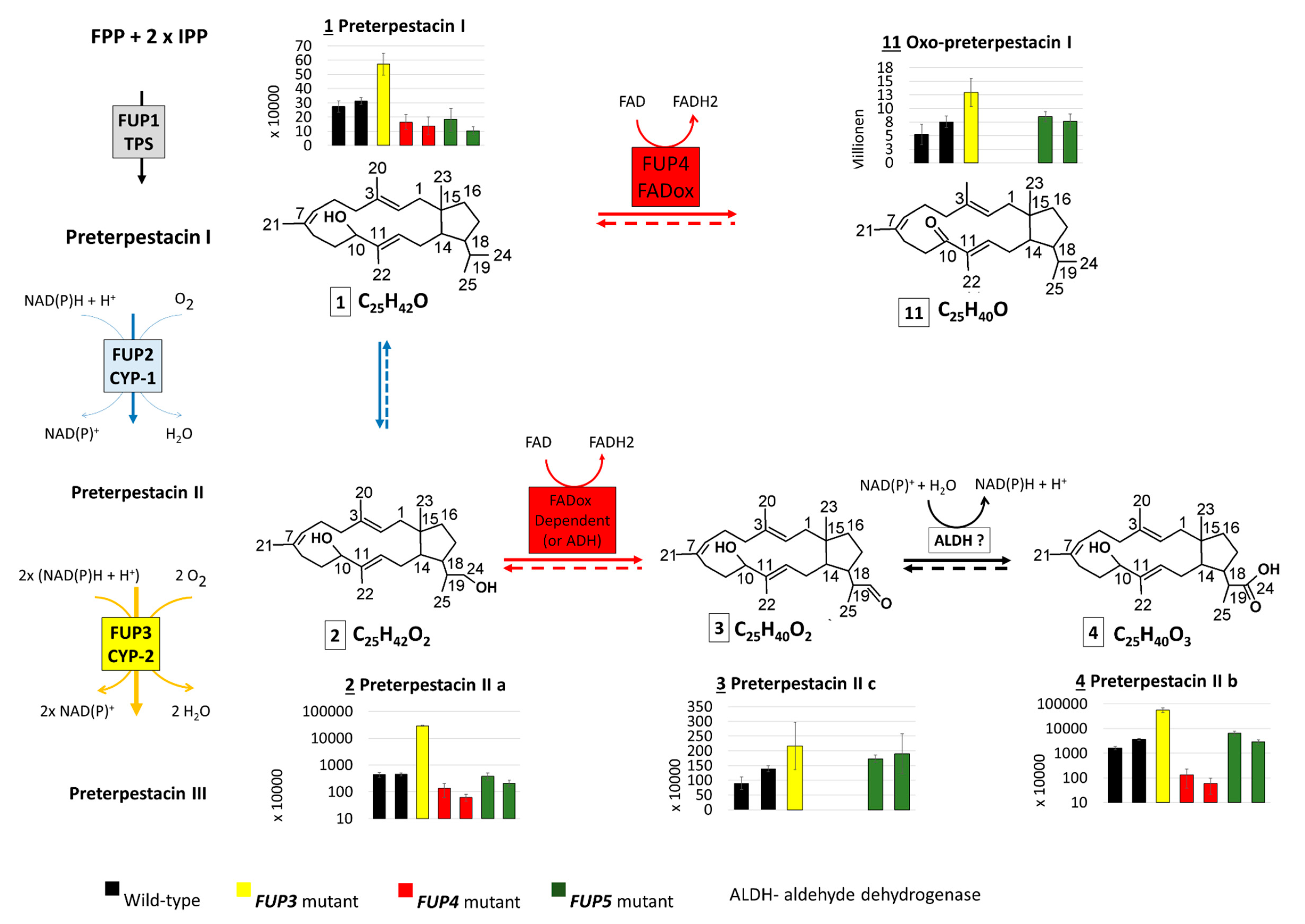 Toxins 13 00468 g003a