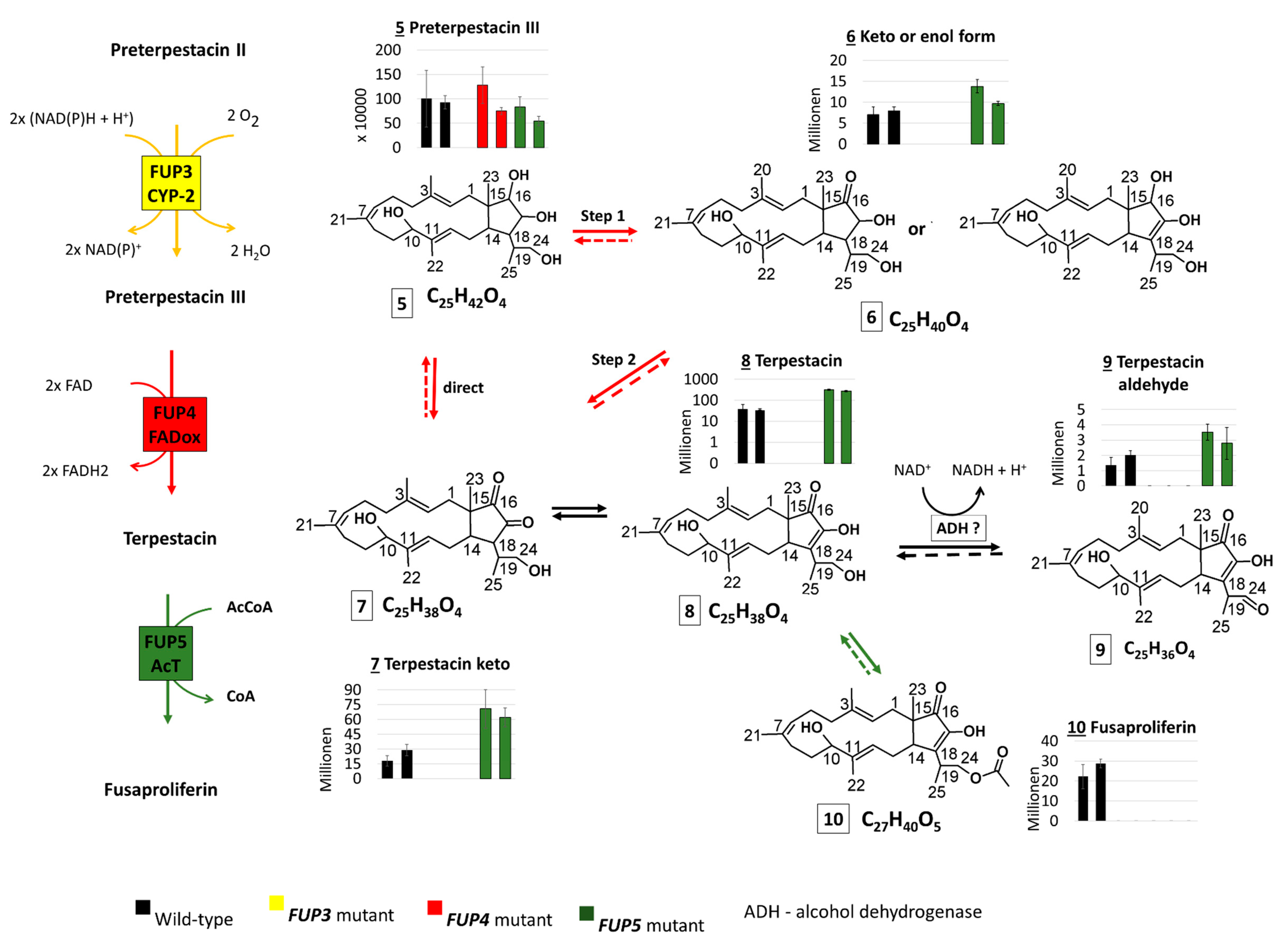 Toxins 13 00468 g003b
