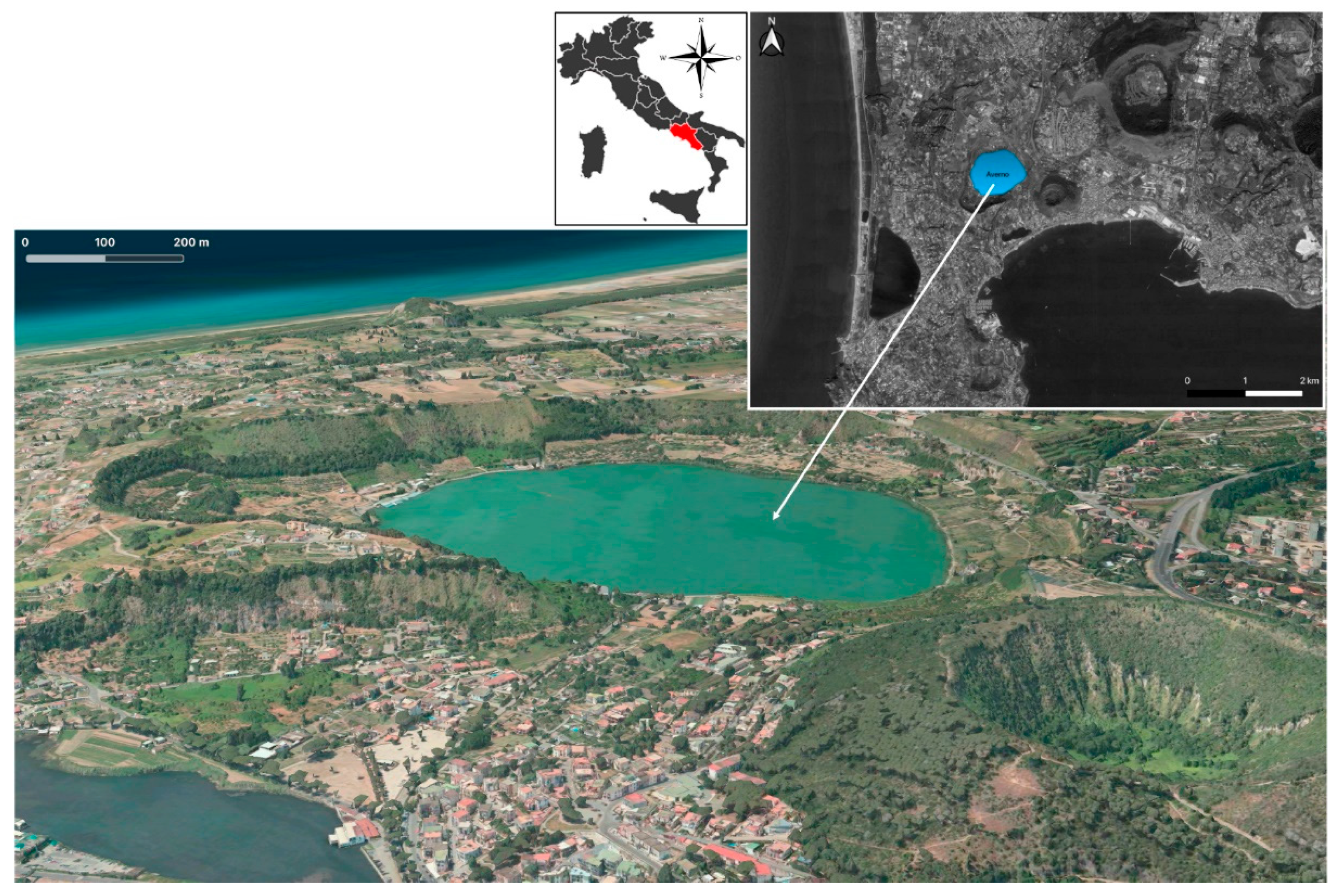 Toxins 13 00471 g001
