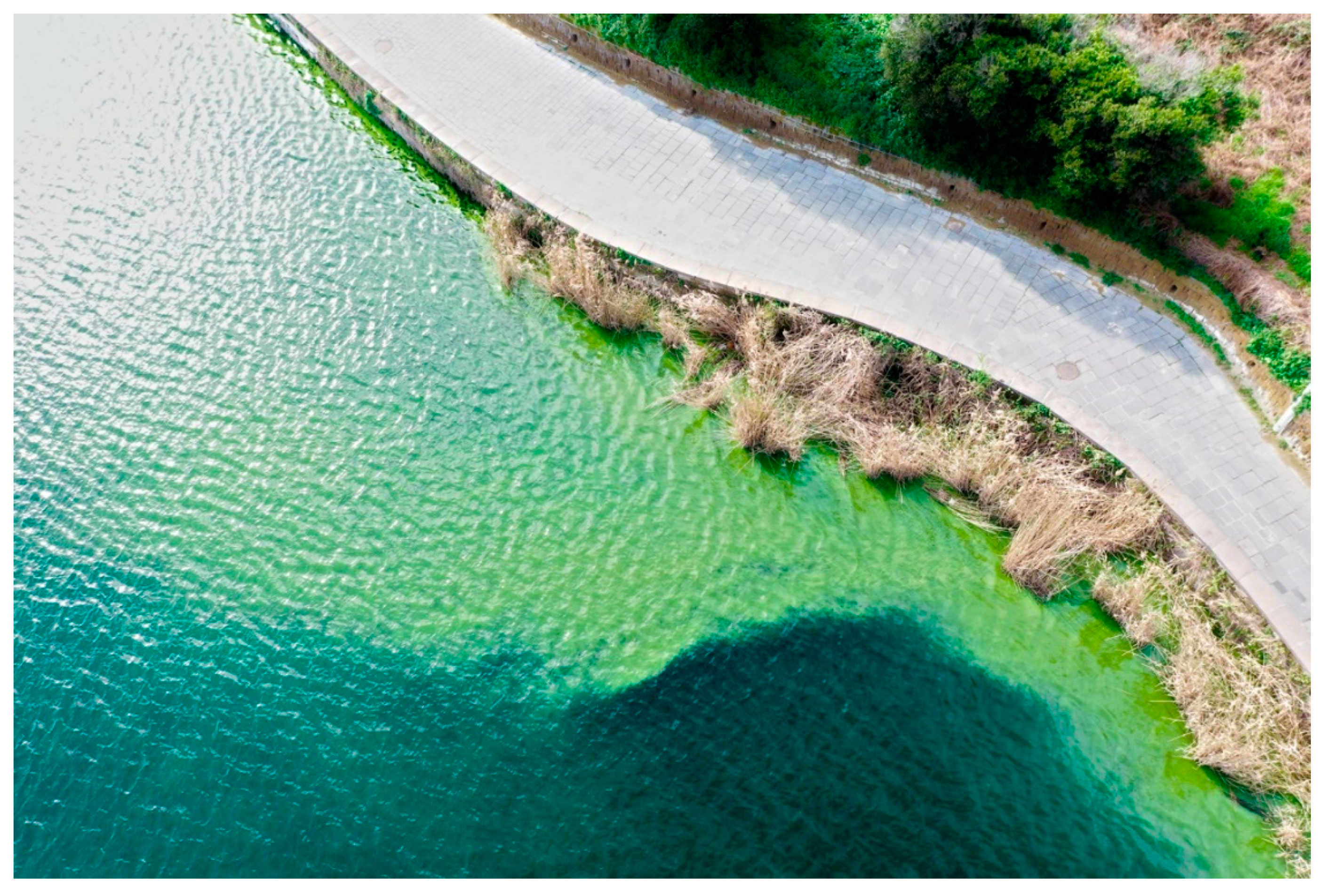 Toxins 13 00471 g004