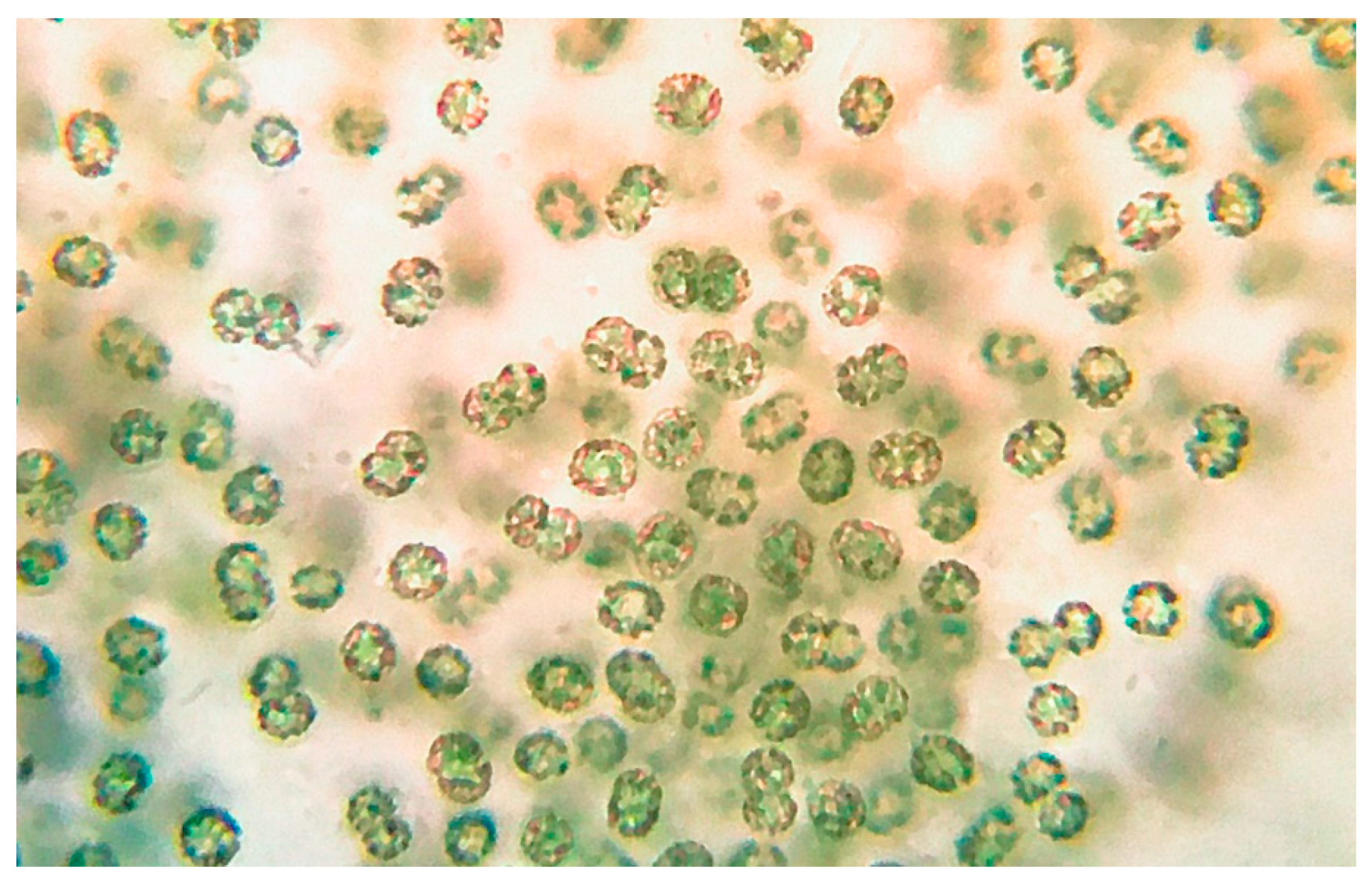 Toxins 13 00471 g006