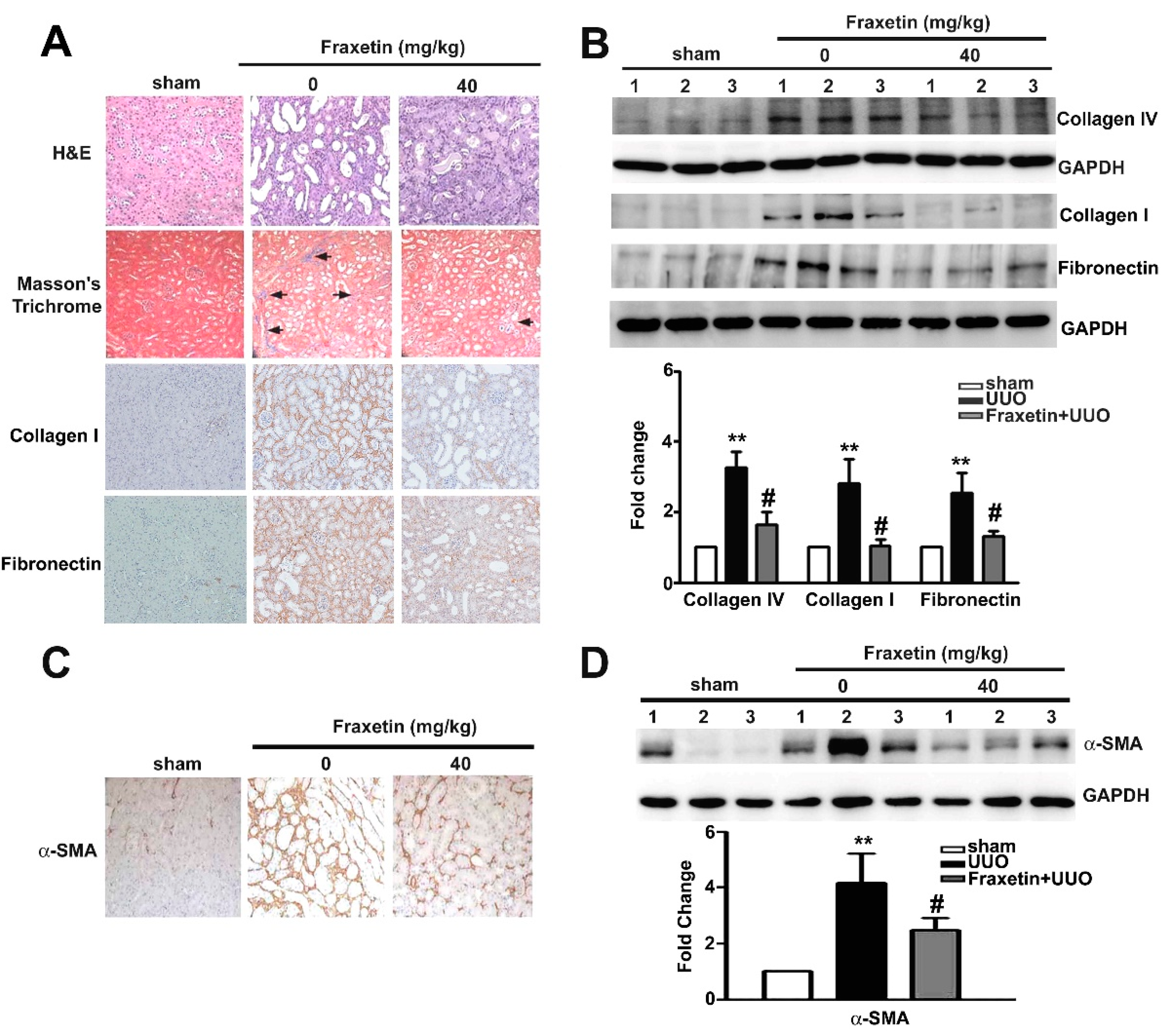Toxins 13 00474 g001