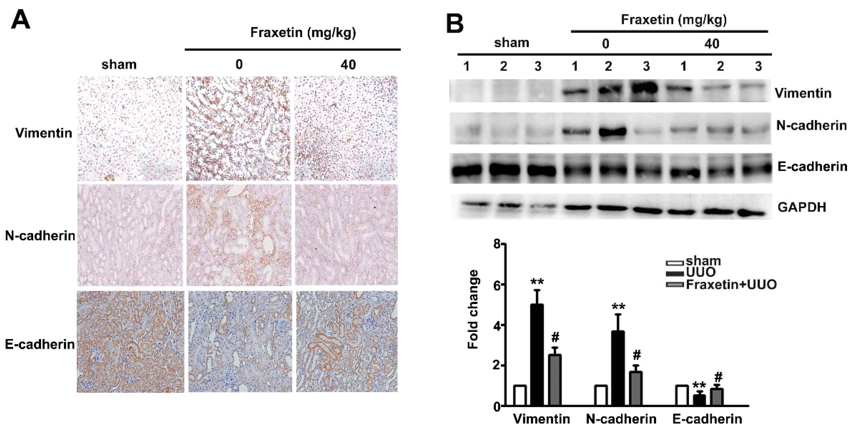 Toxins 13 00474 g002