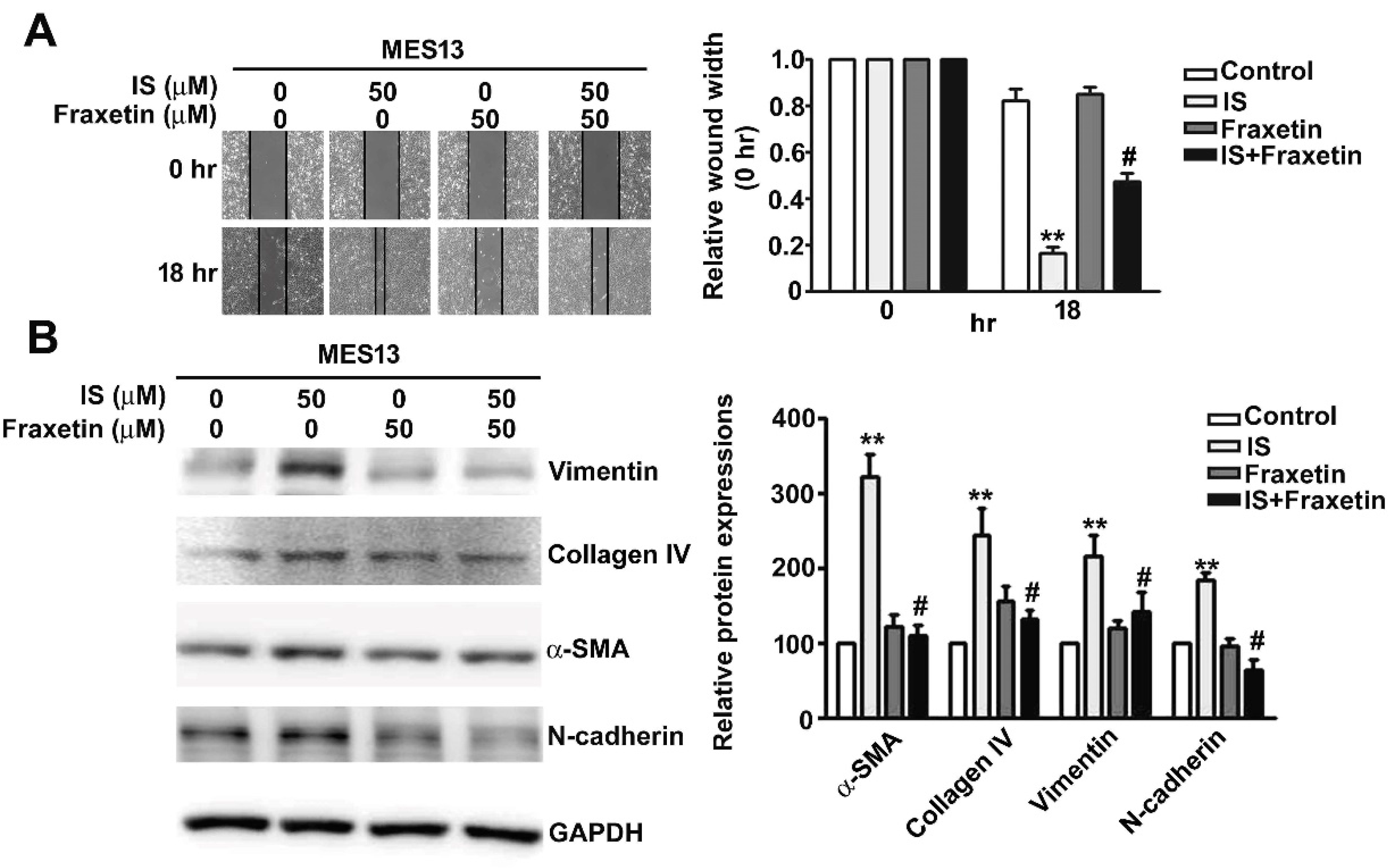 Toxins 13 00474 g004