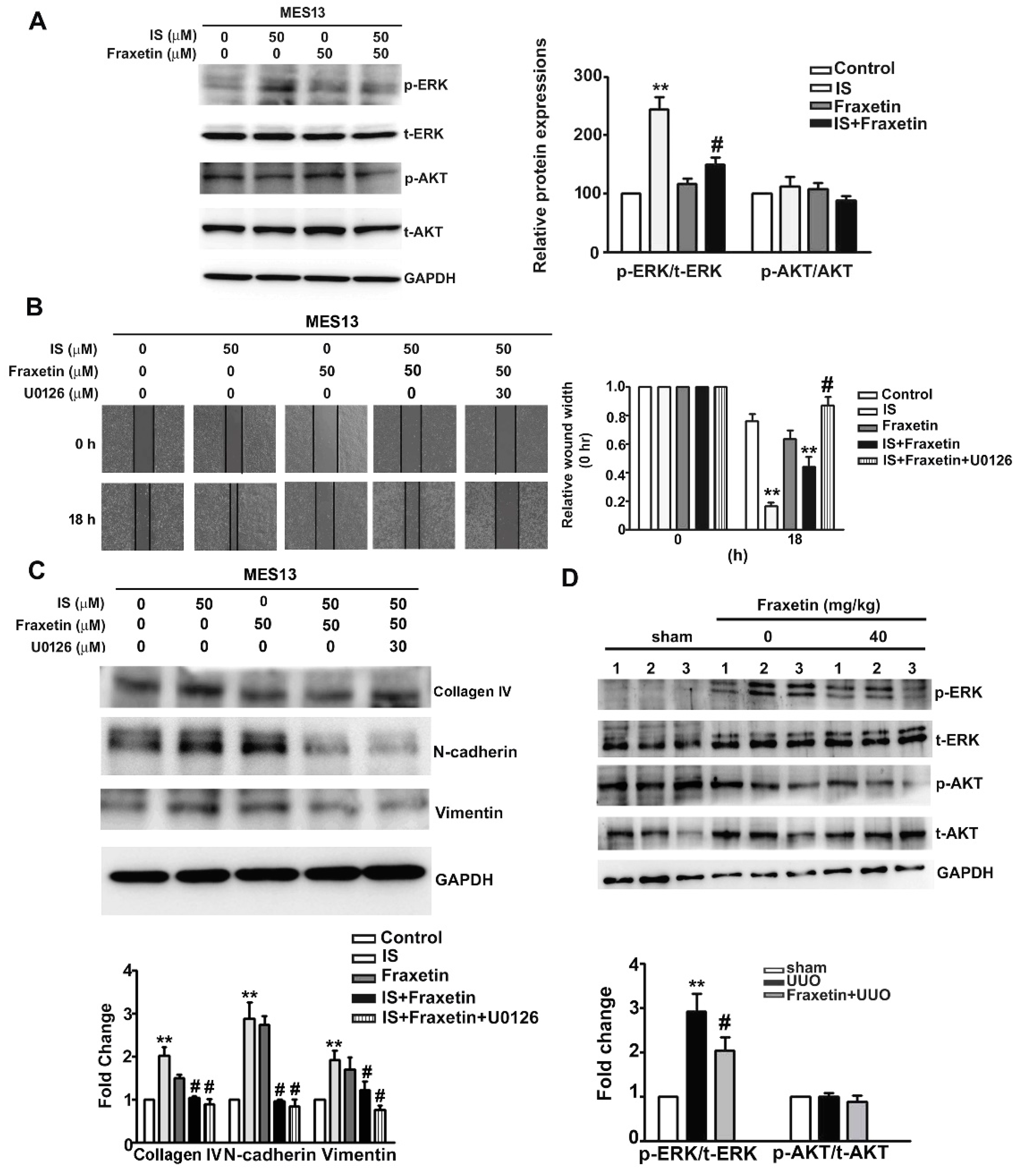 Toxins 13 00474 g005