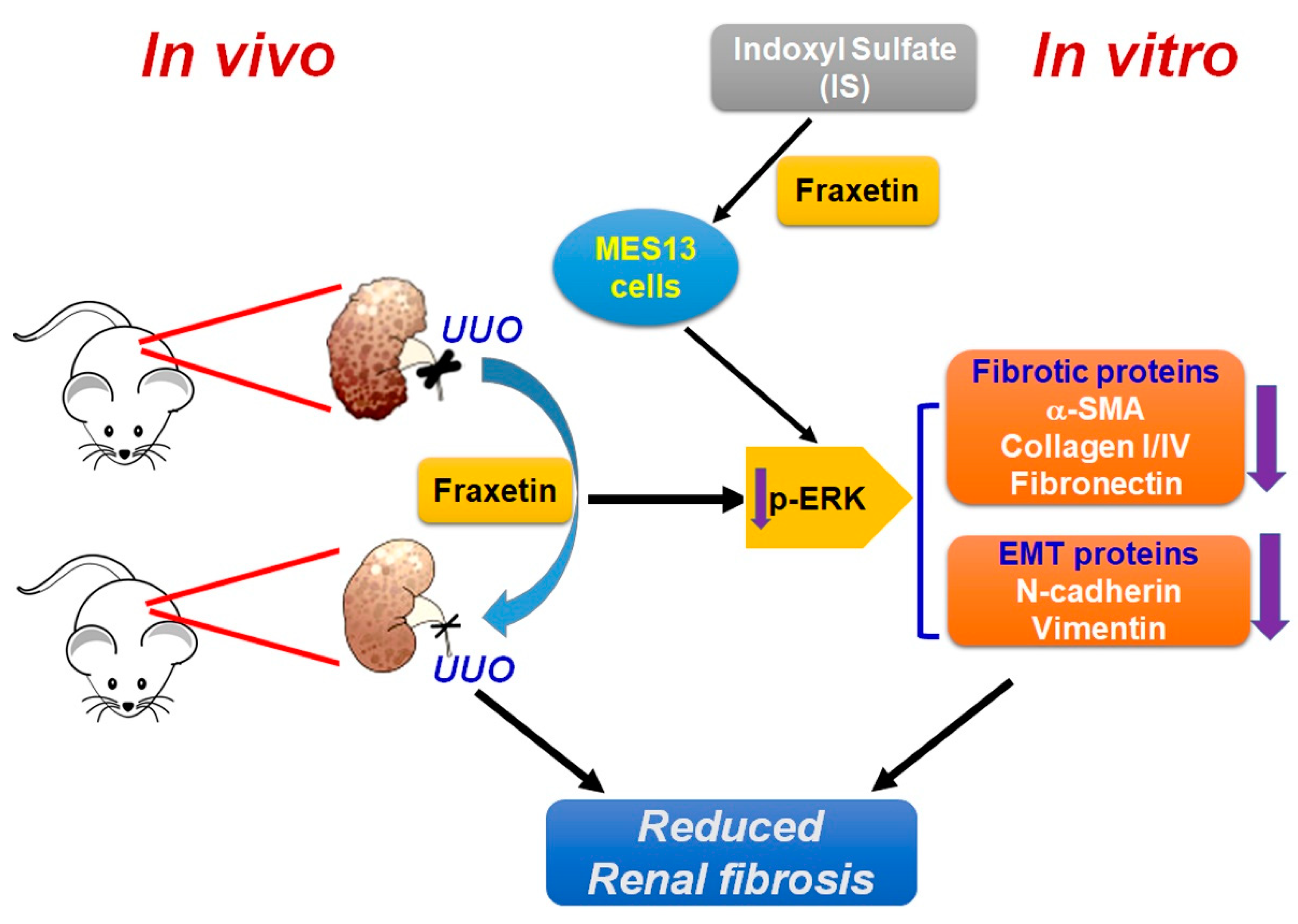 Toxins 13 00474 g006