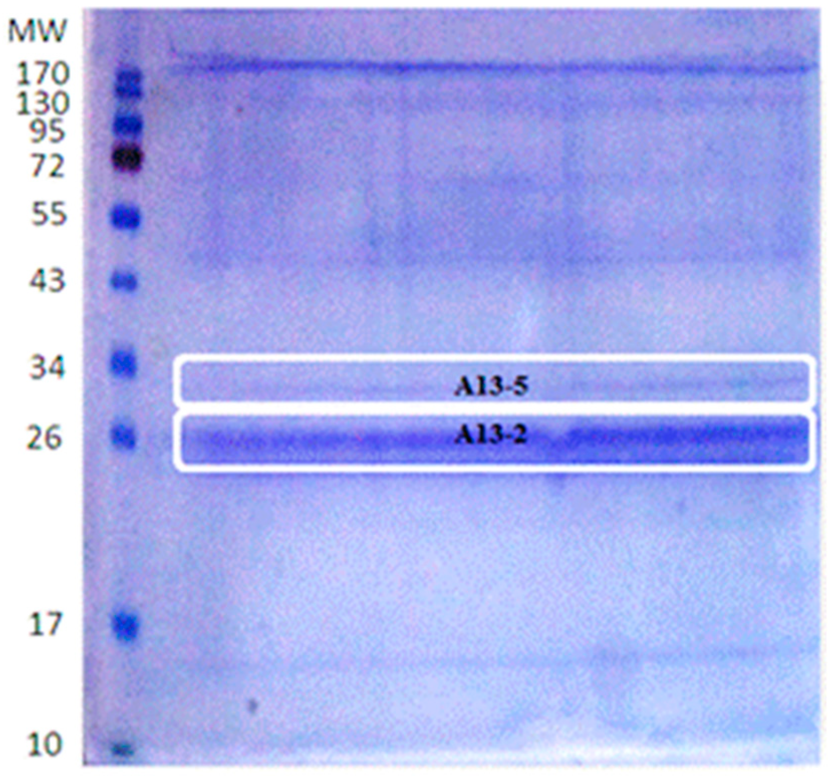 Toxins 13 00476 g001 Toxins 13 00476 g001