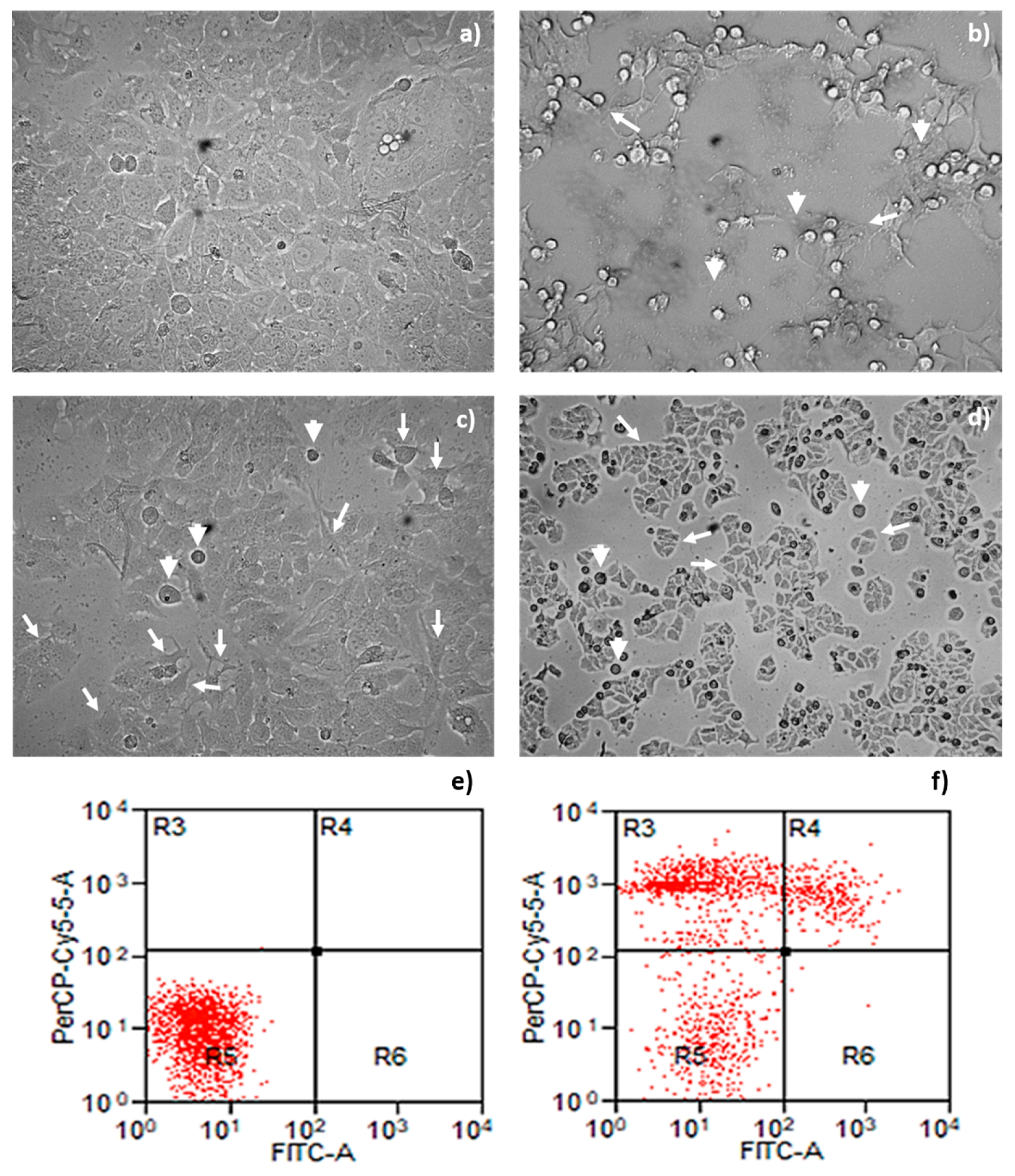 Toxins 13 00476 g005 Toxins 13 00476 g005