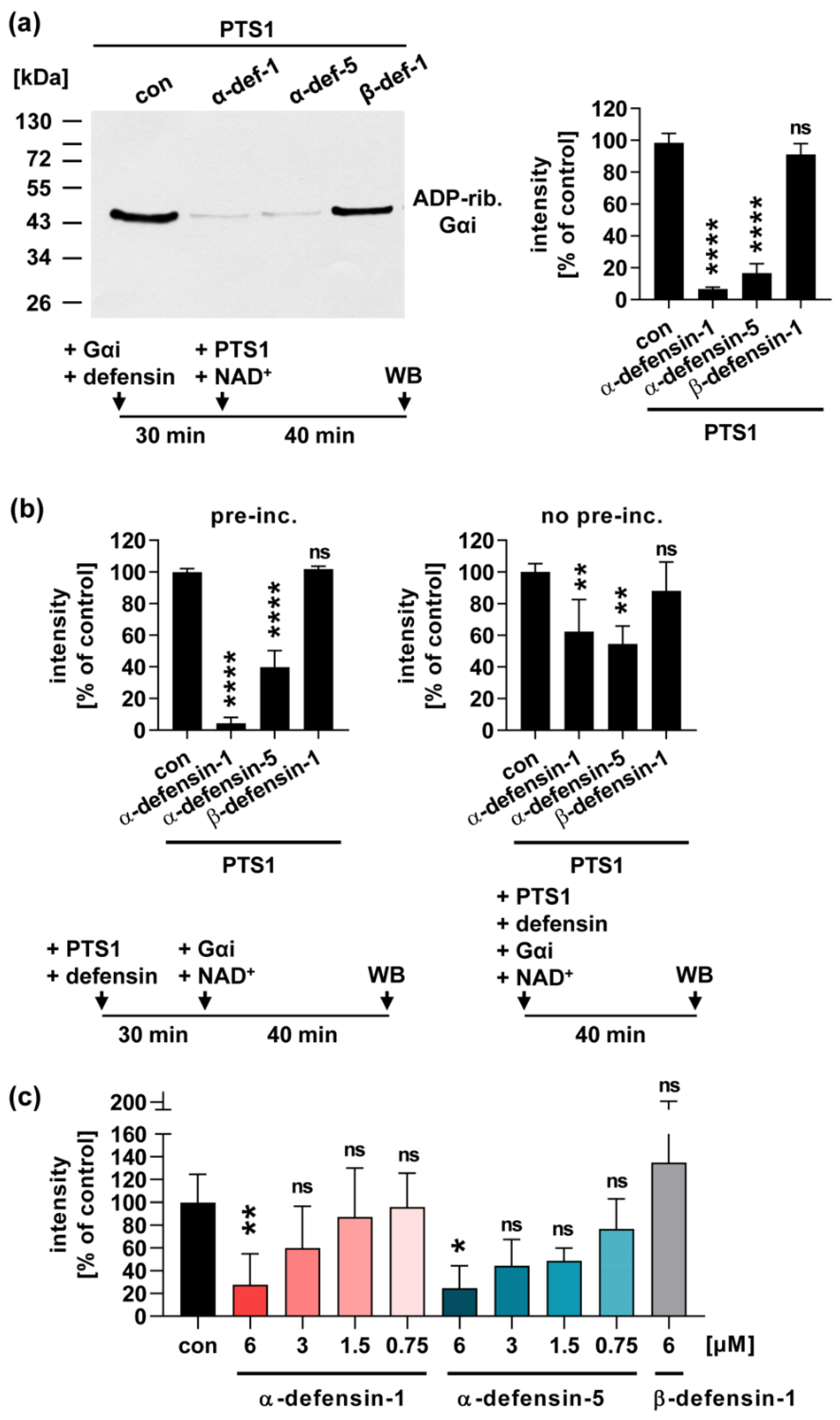 Toxins 13 00480 g001a
