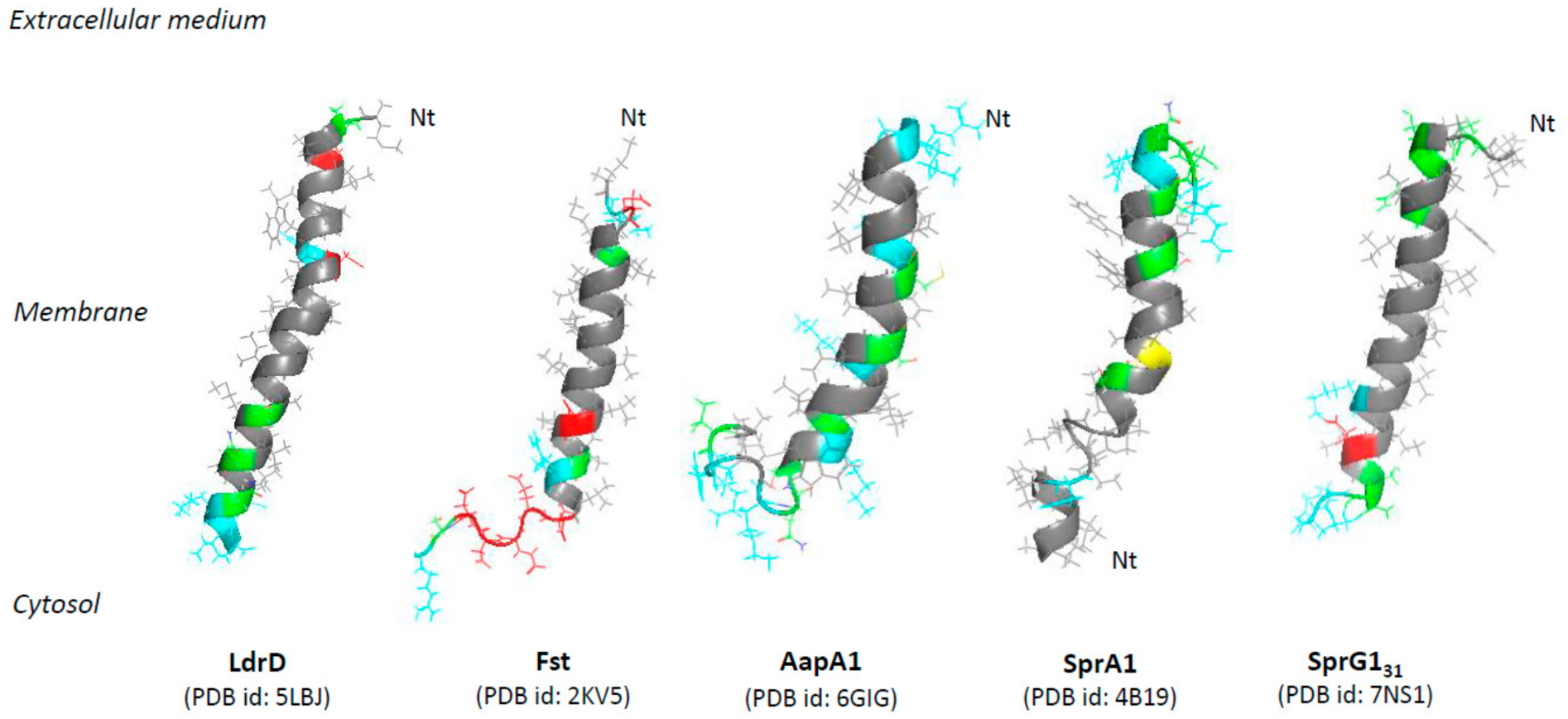 Toxins 13 00490 g001 Toxins 13 00490 g001
