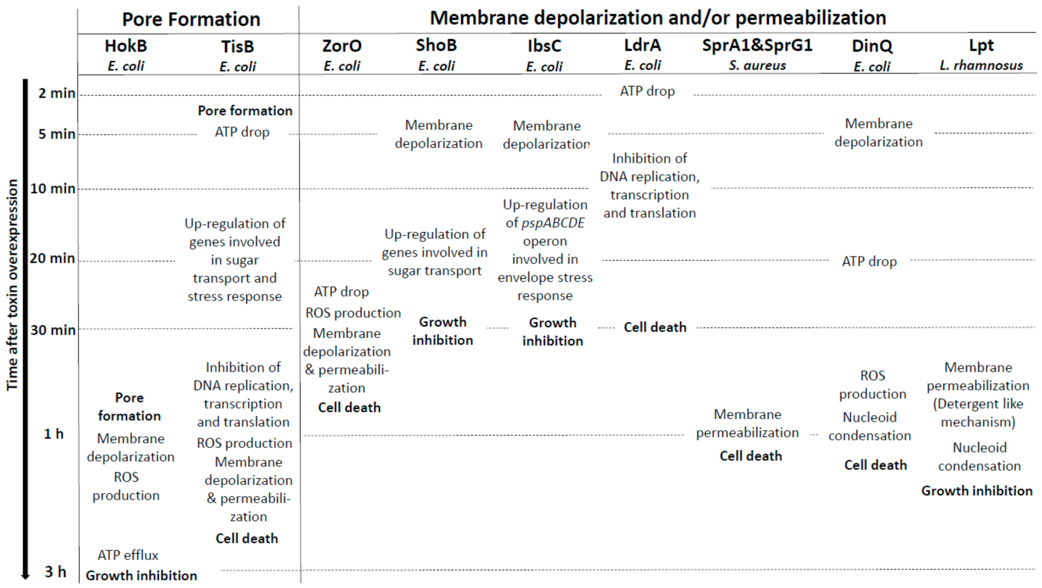 Toxins 13 00490 g002 Toxins 13 00490 g002
