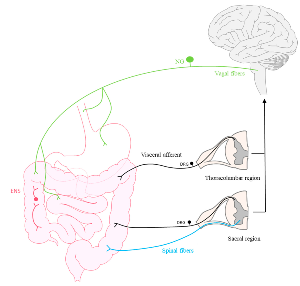 Toxins 13 00496 g001