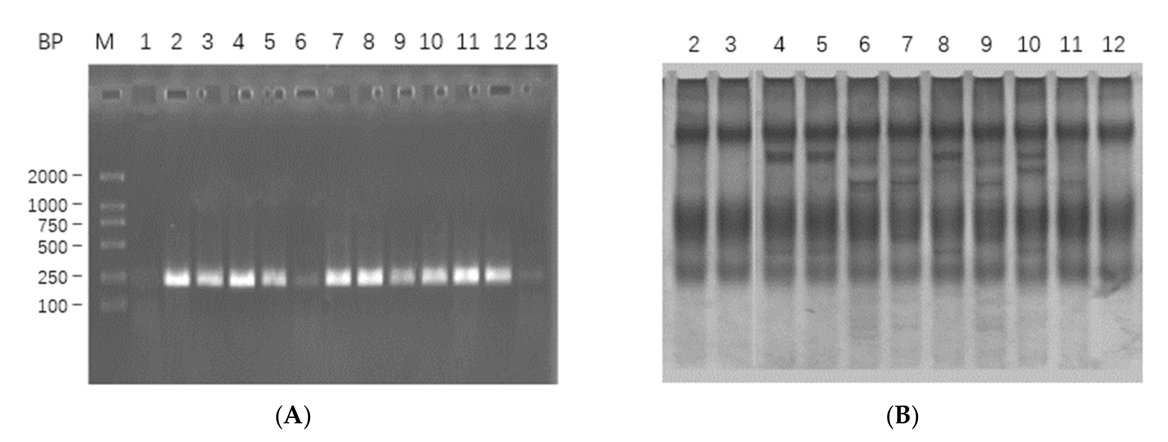 Toxins 13 00498 g001
