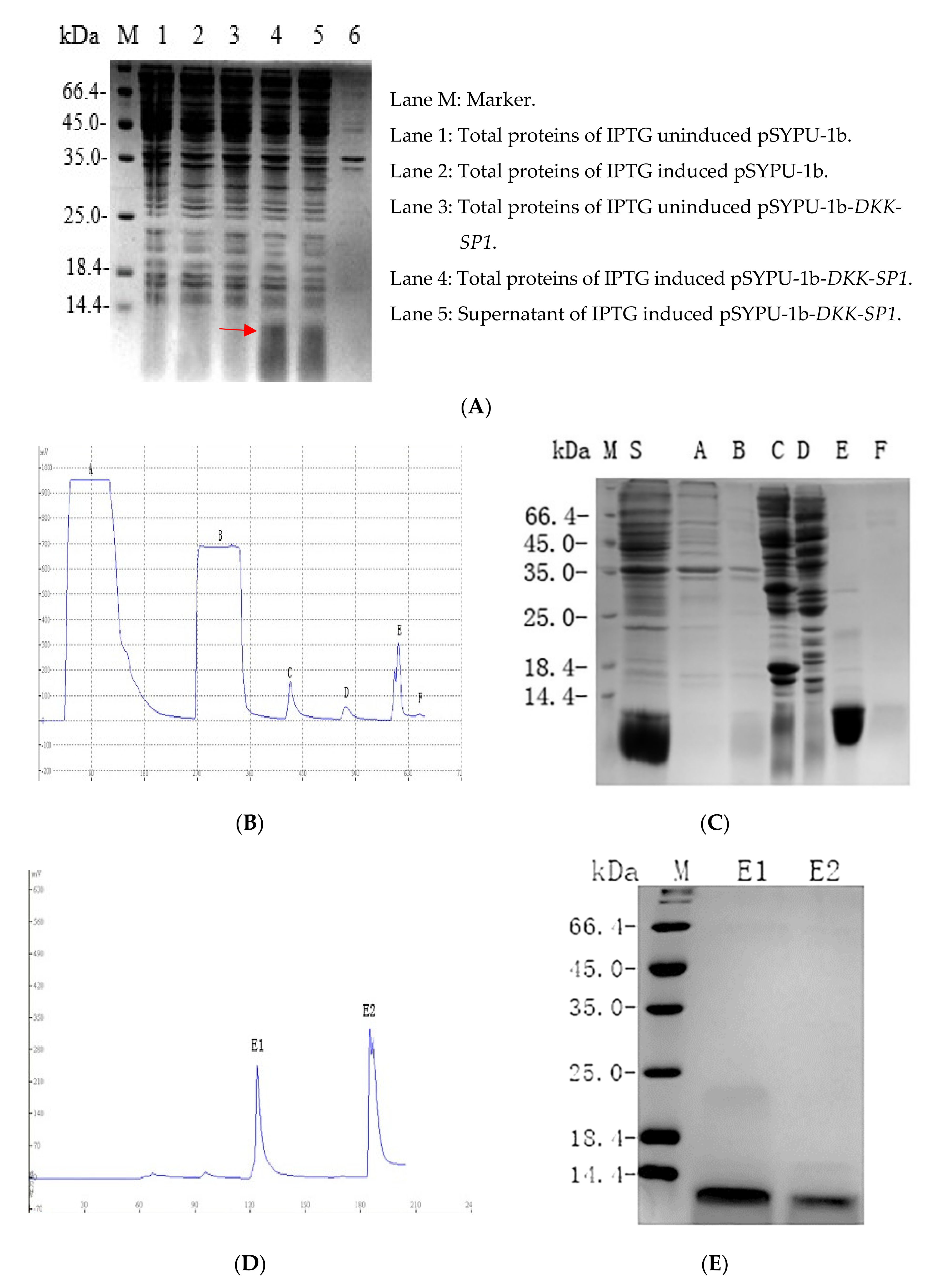 Toxins 13 00498 g003
