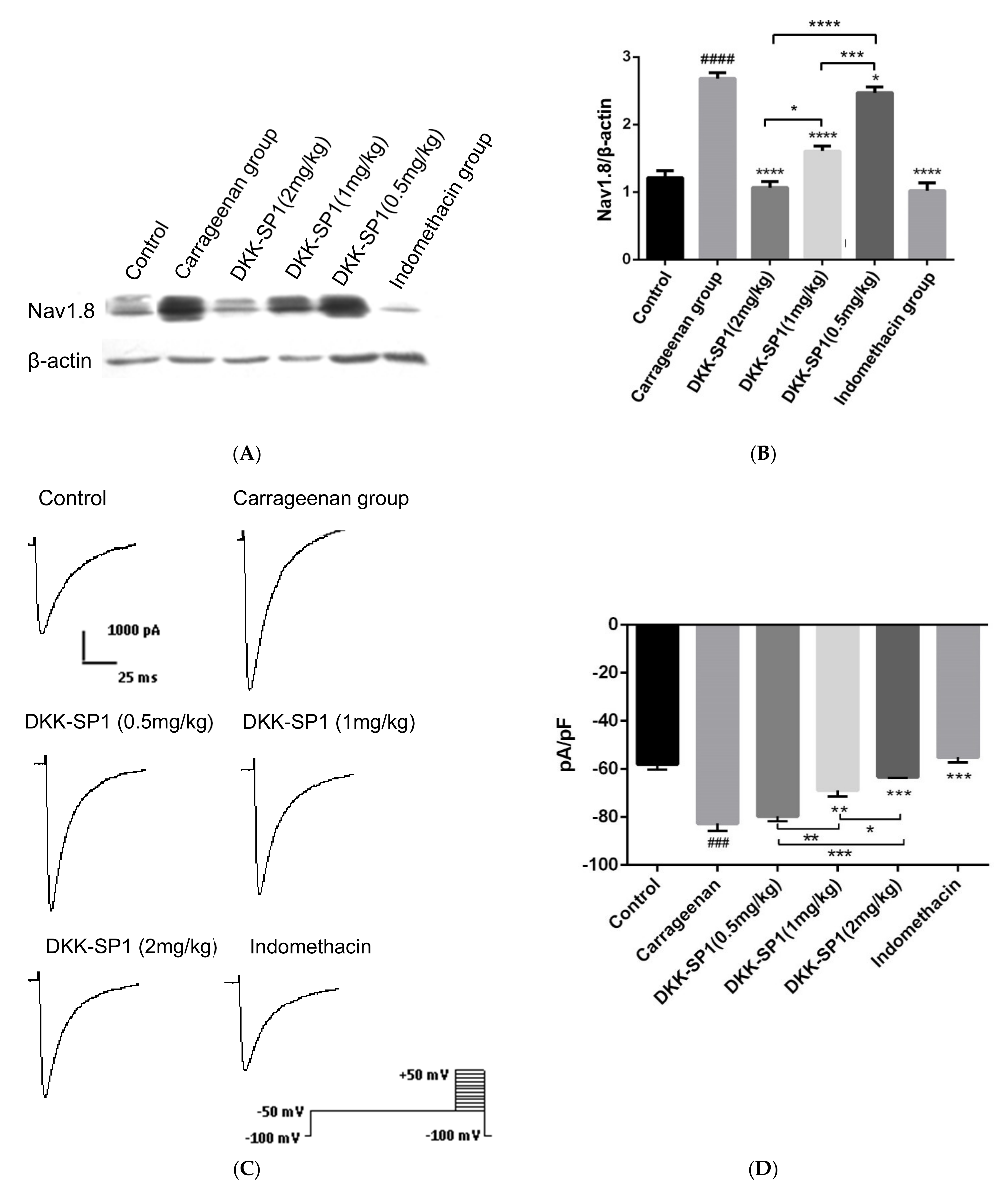 Toxins 13 00498 g005