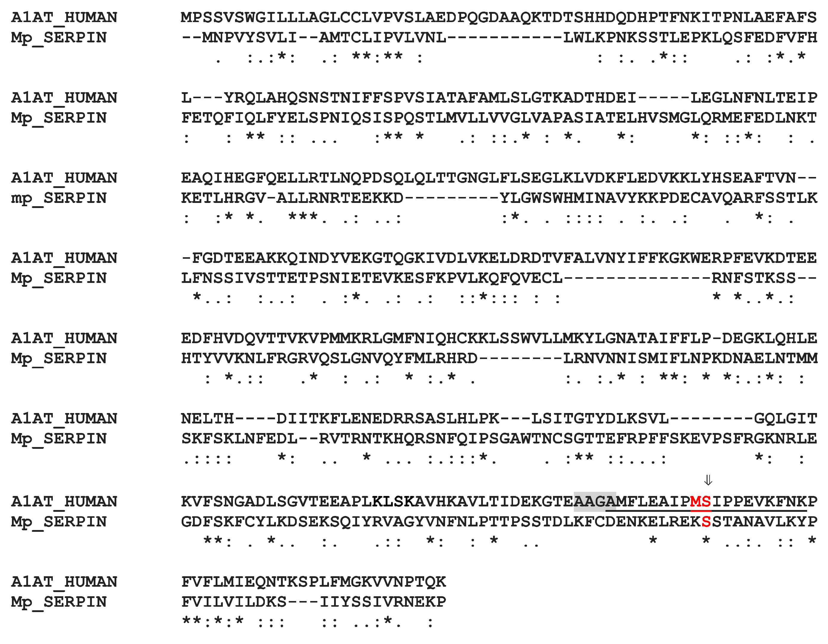 Toxins 13 00502 g010